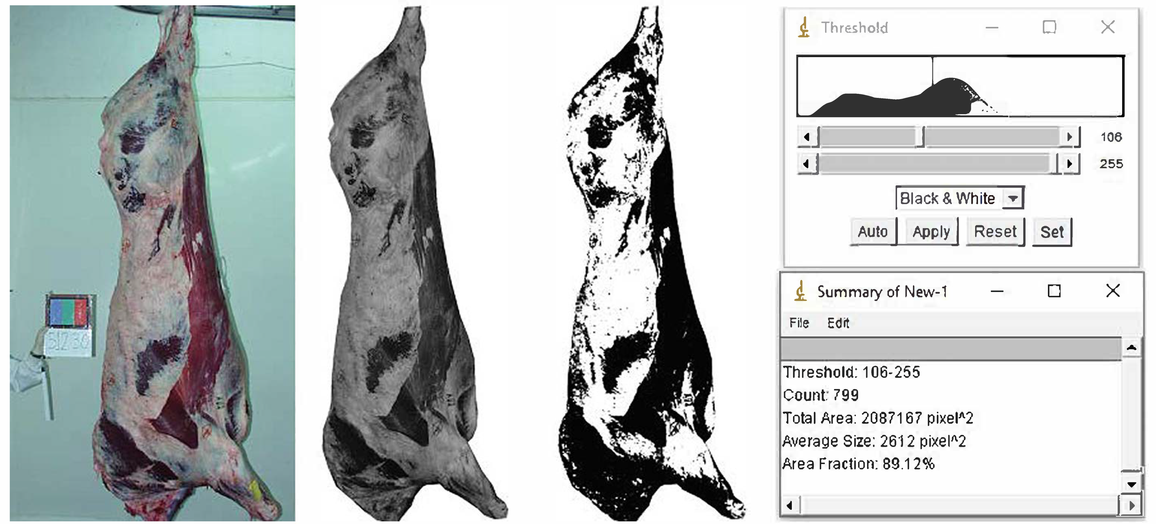 Animals 11 02897 g001 Animals 11 02897 g001