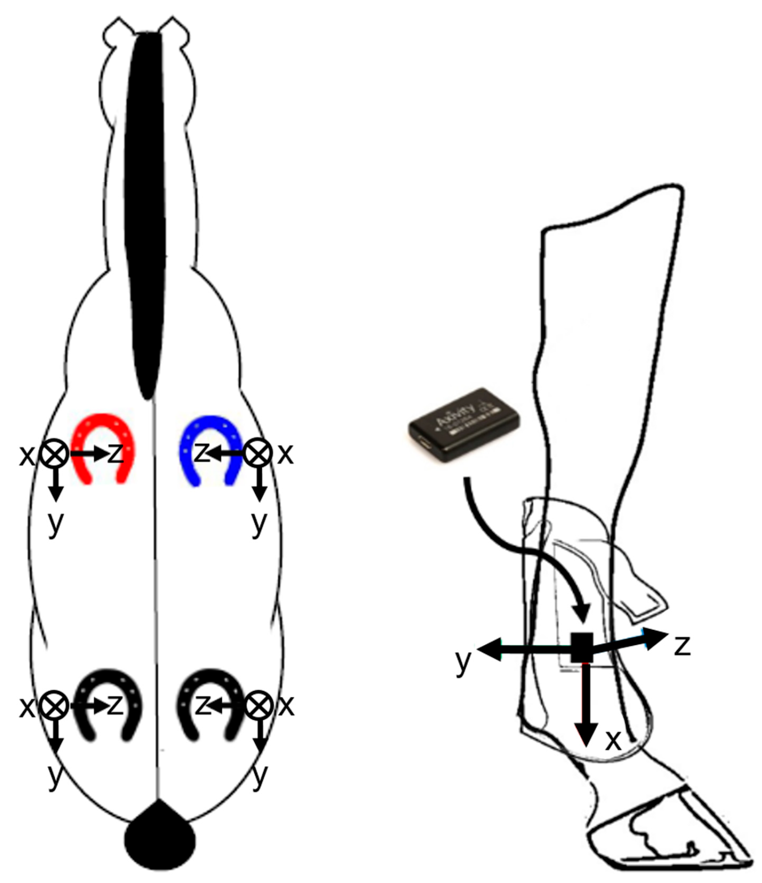 Animals 11 02904 g003