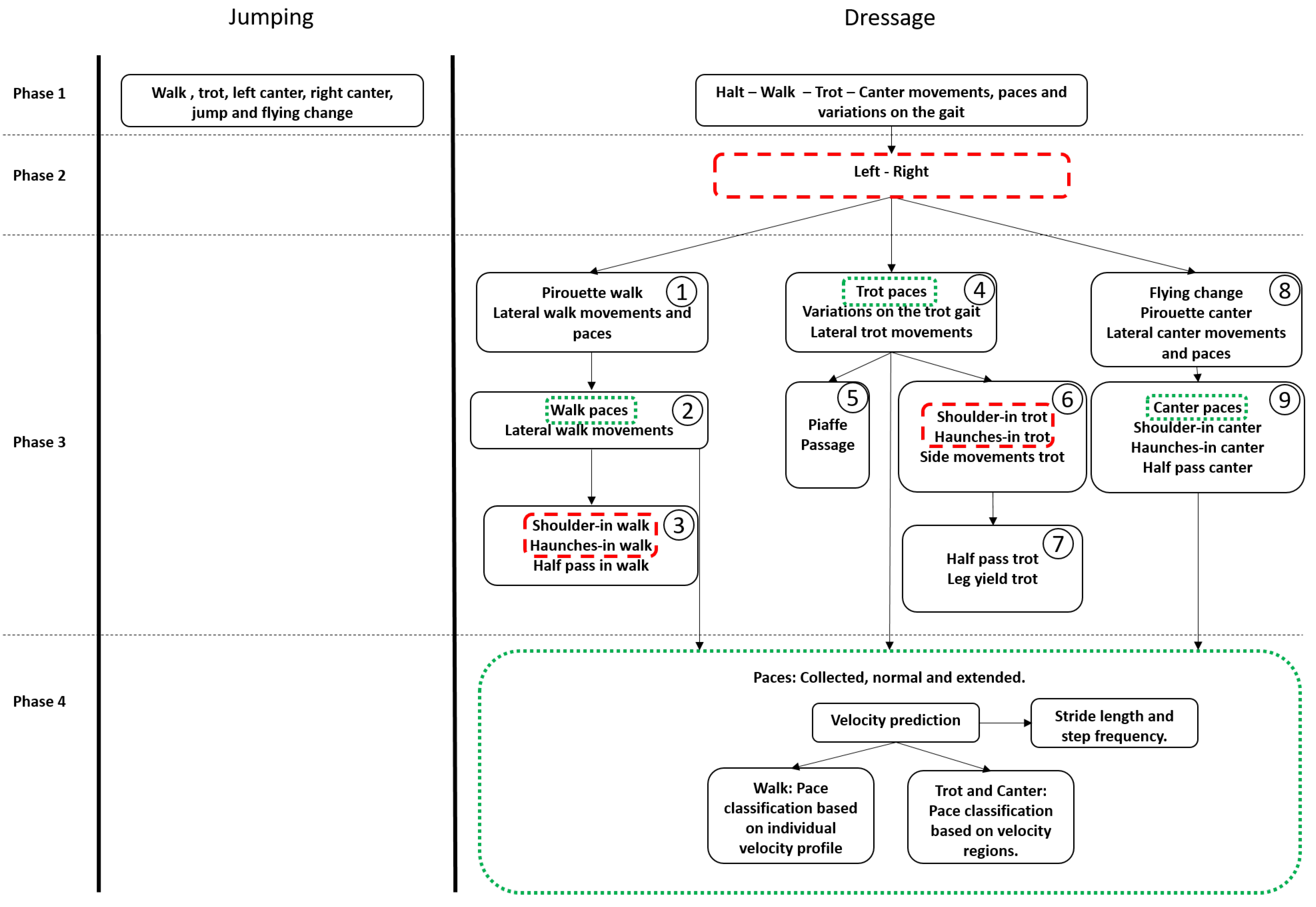 Animals 11 02904 g004