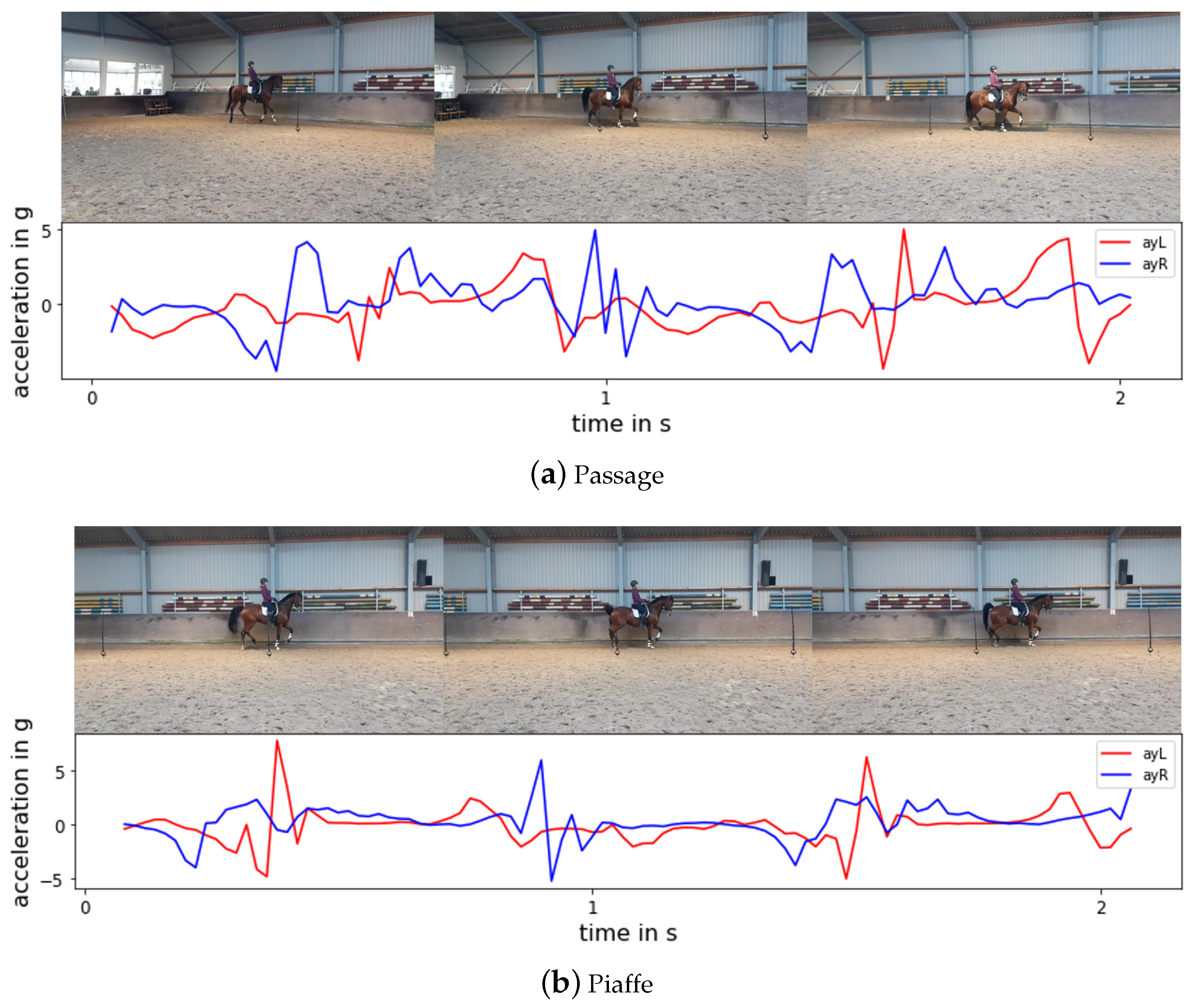 Animals 11 02904 g014