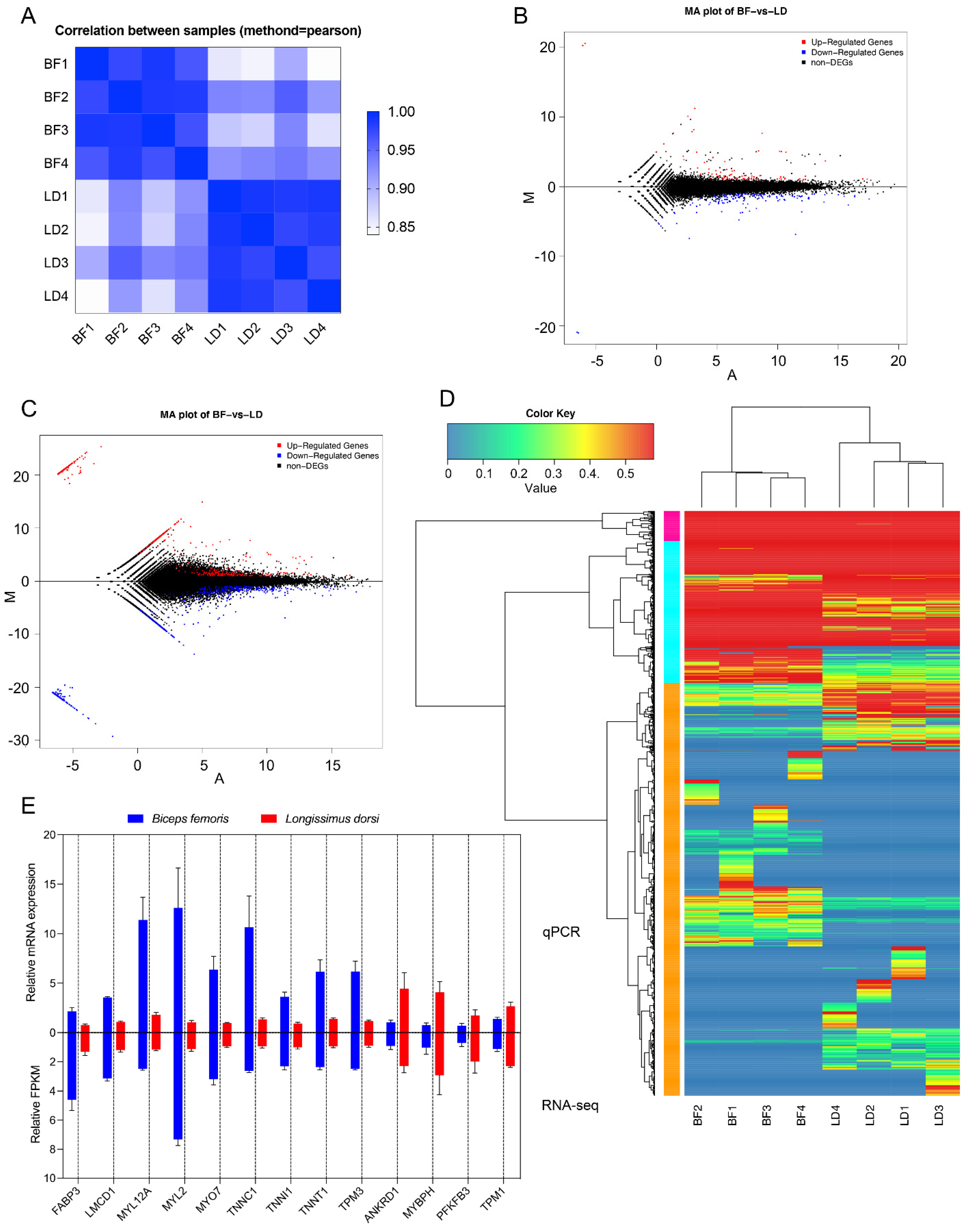 Animals 11 02906 g002
