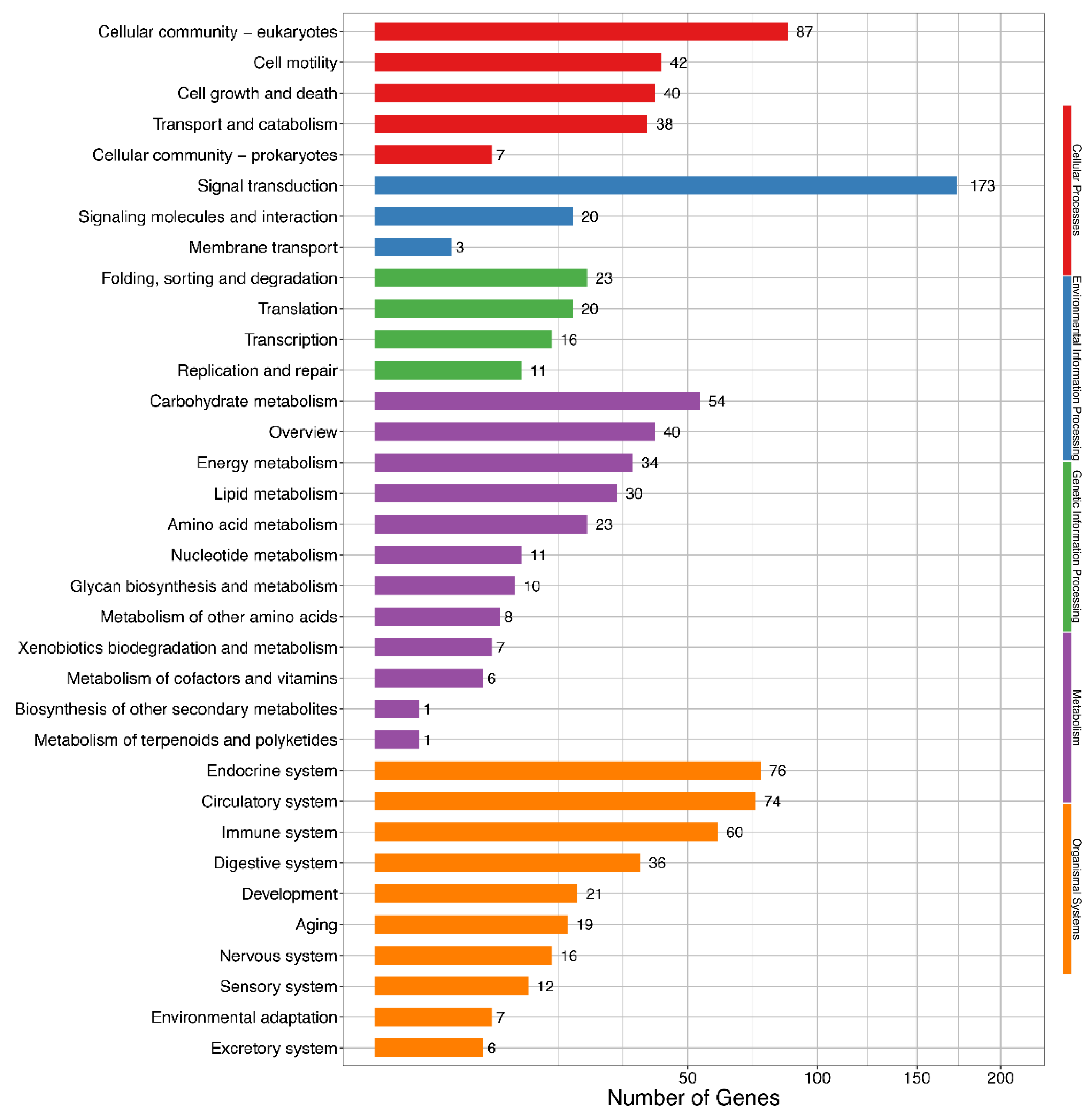 Animals 11 02906 g004