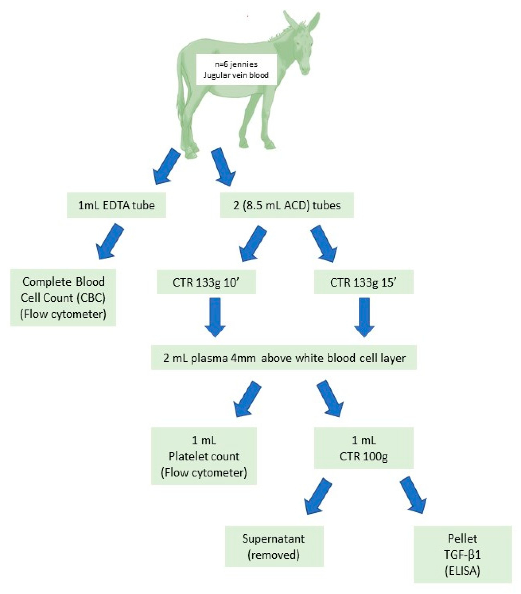 Animals | Free Full-Text | Simple Tube Centrifugation Method for  Platelet-Rich Plasma (PRP) Preparation in Catalonian Donkeys as a Treatment  of Endometritis-Endometrosis