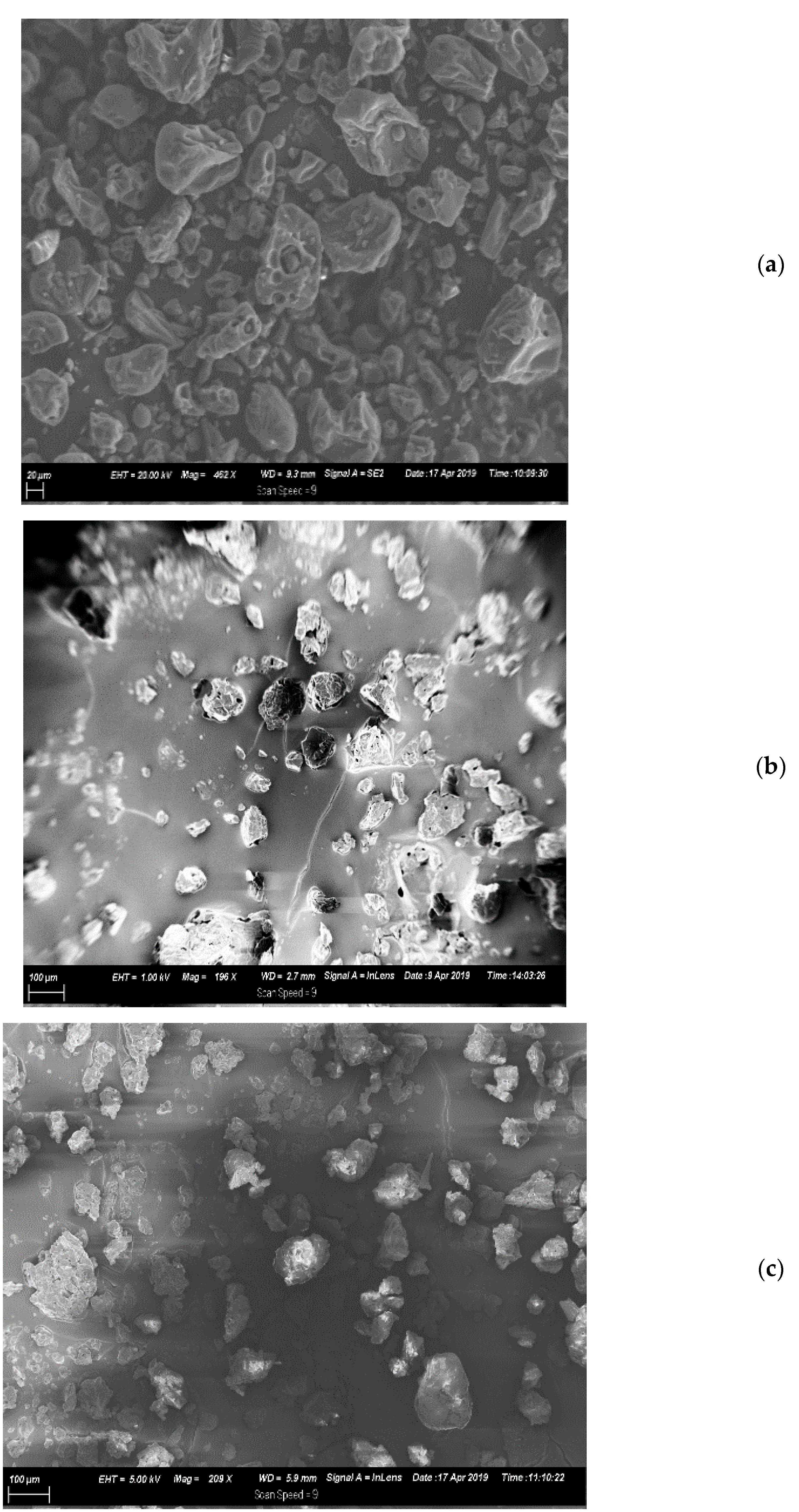 Animals 11 02919 g001 550