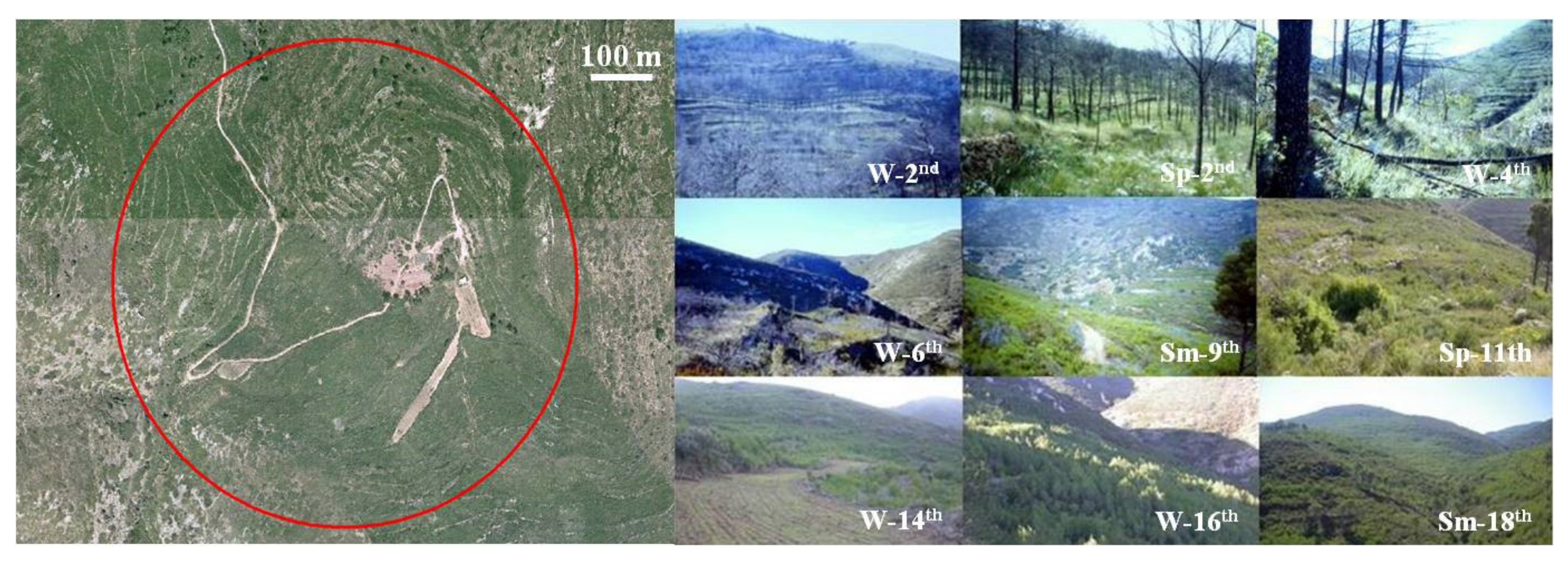 Animals 11 02926 g002 Animals 11 02926 g002