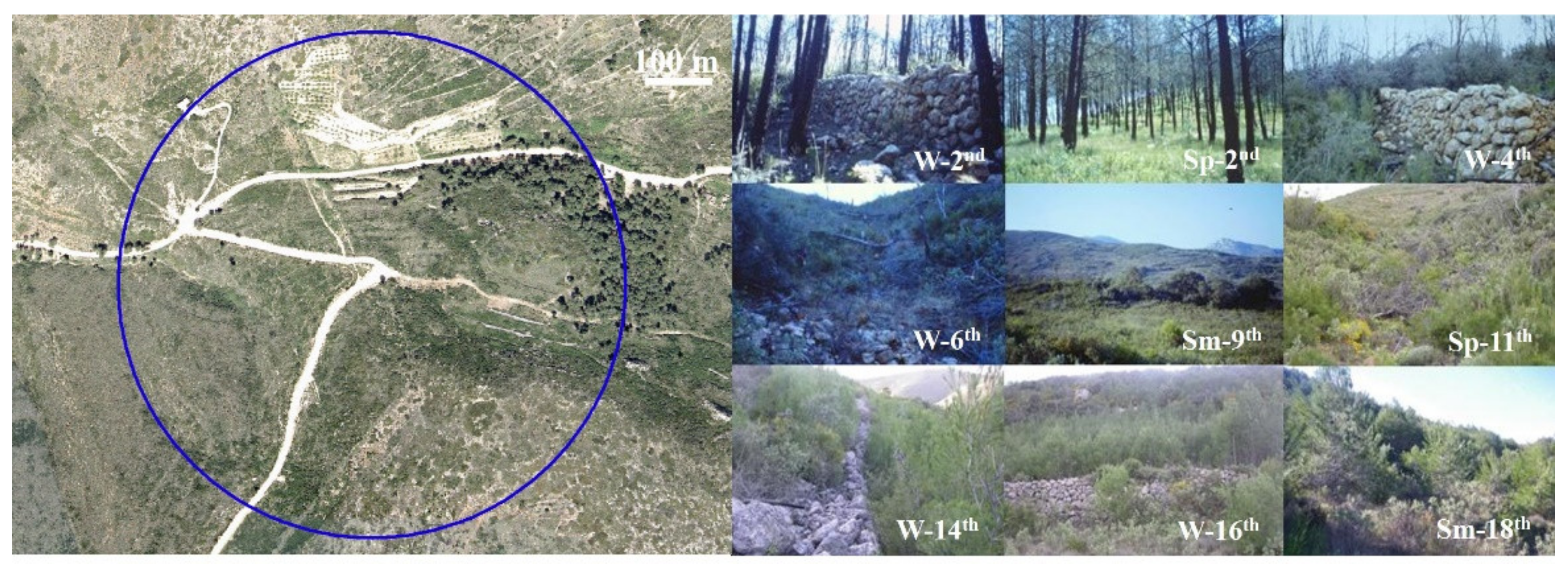 Animals 11 02926 g003 Animals 11 02926 g003