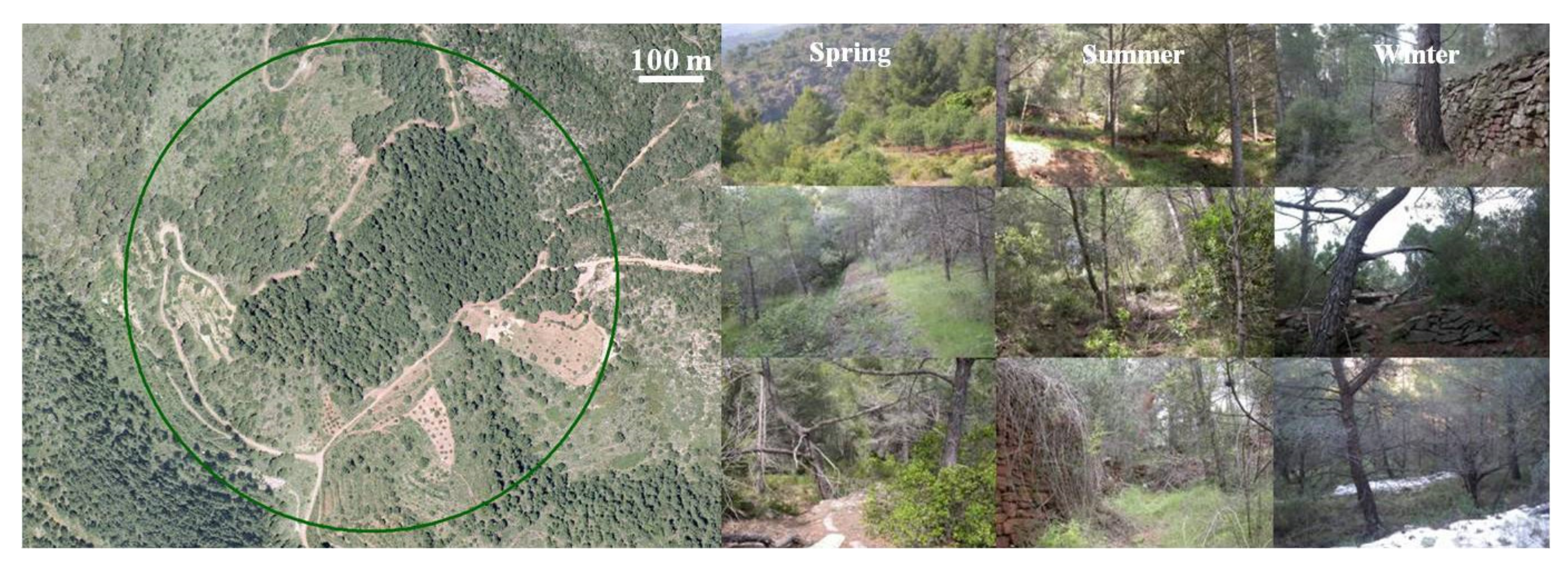 Animals 11 02926 g004 Animals 11 02926 g004