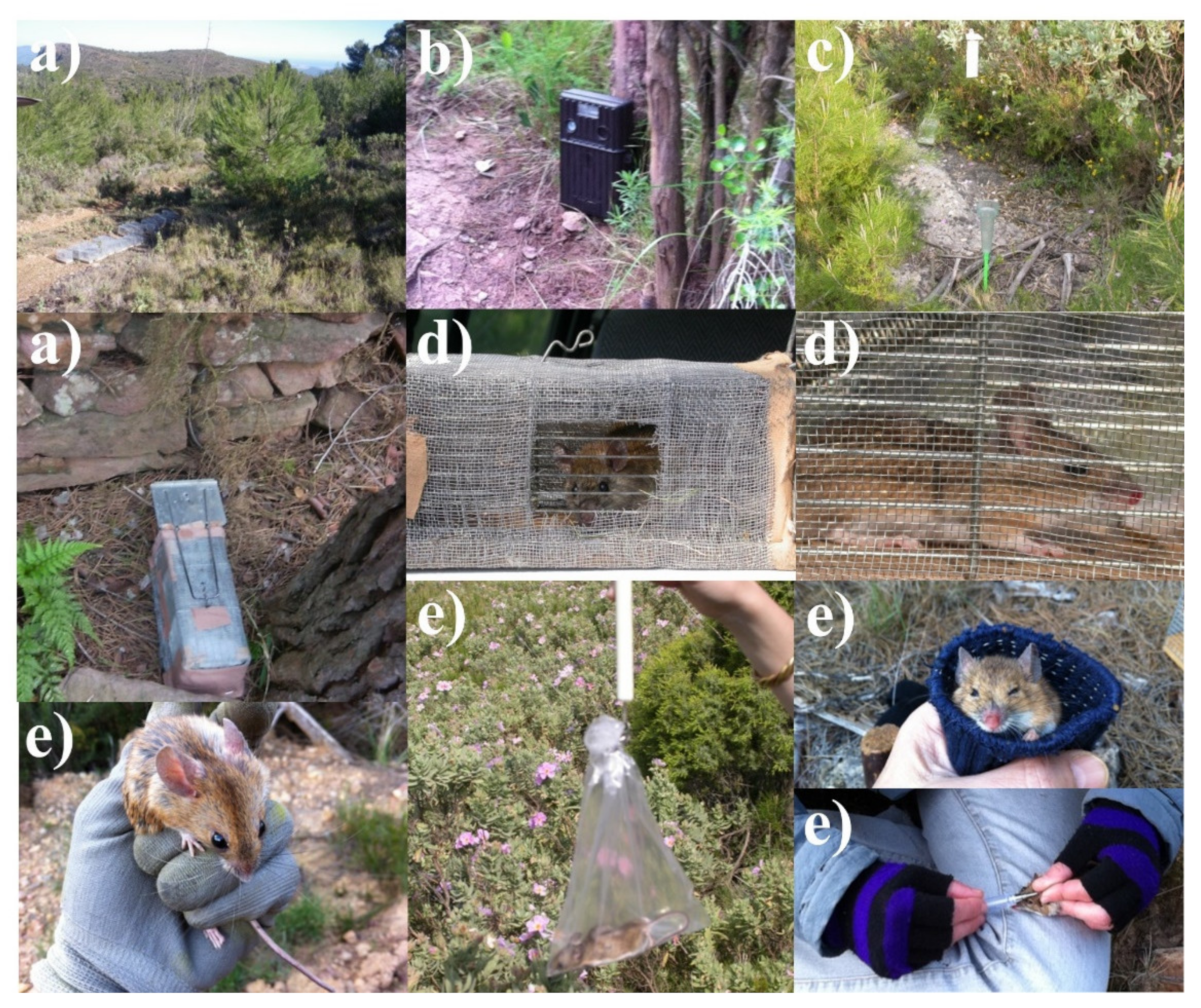 Animals 11 02926 g005 Animals 11 02926 g005