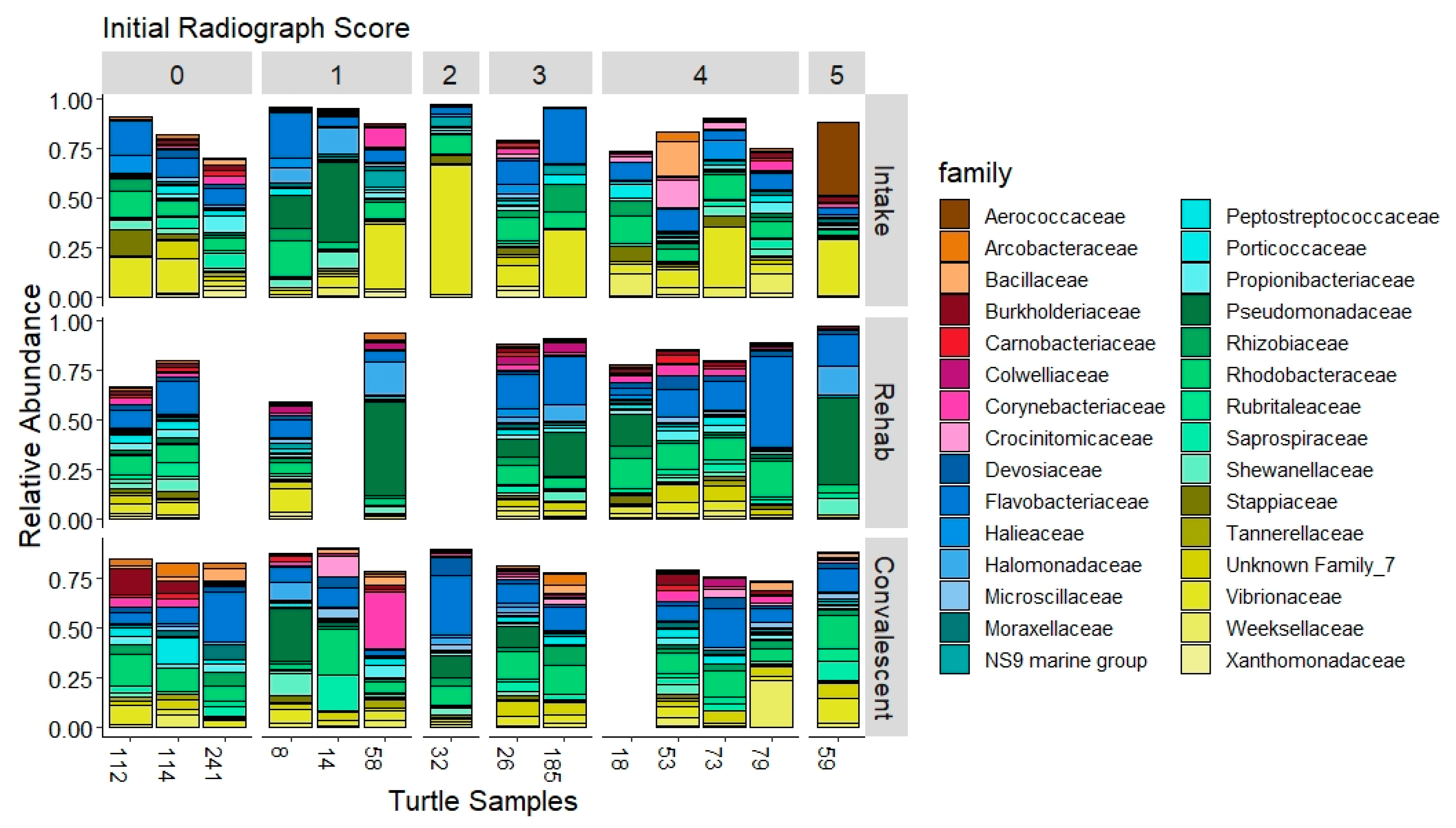 Animals 11 02927 g003