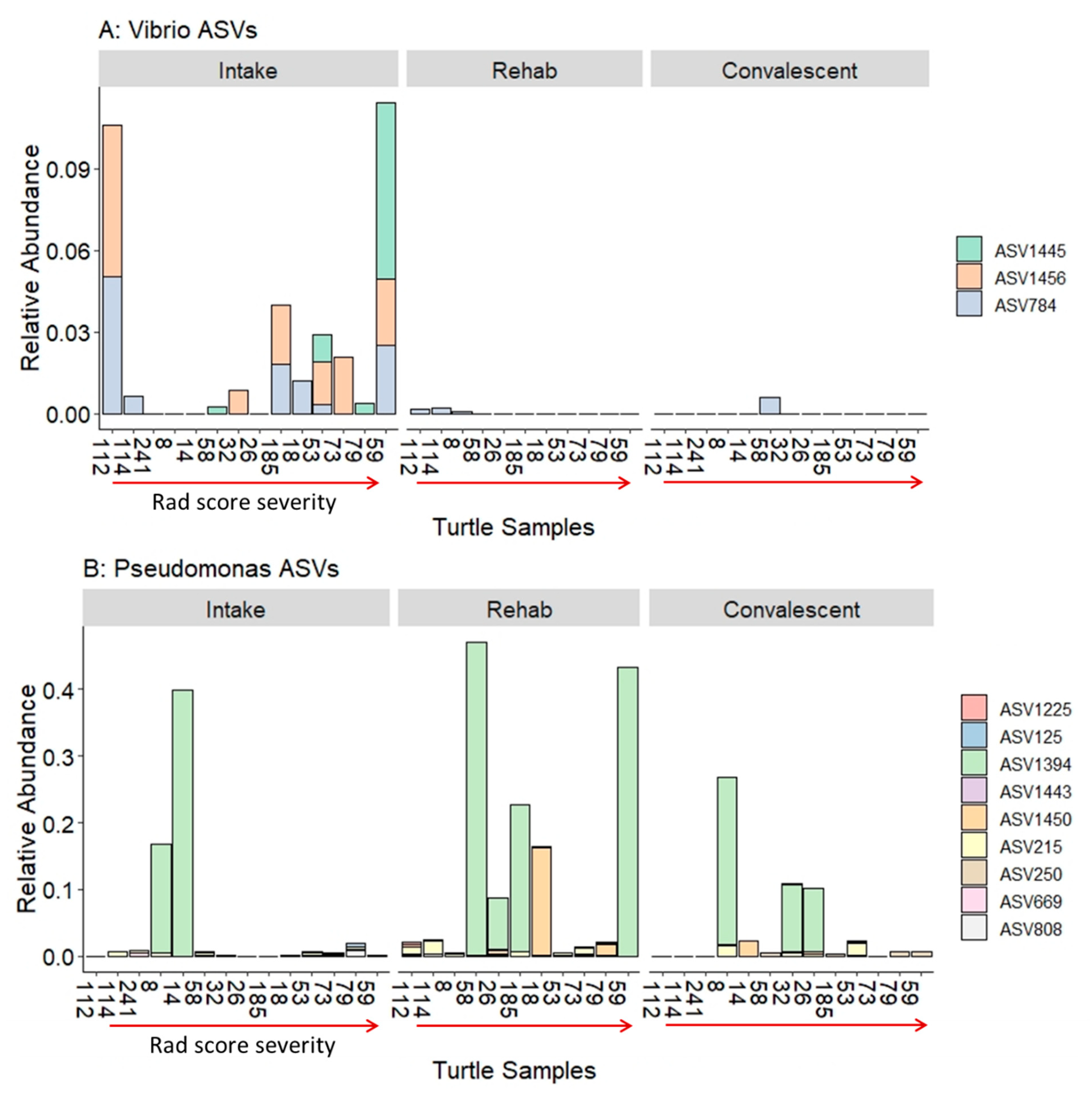 Animals 11 02927 g004a