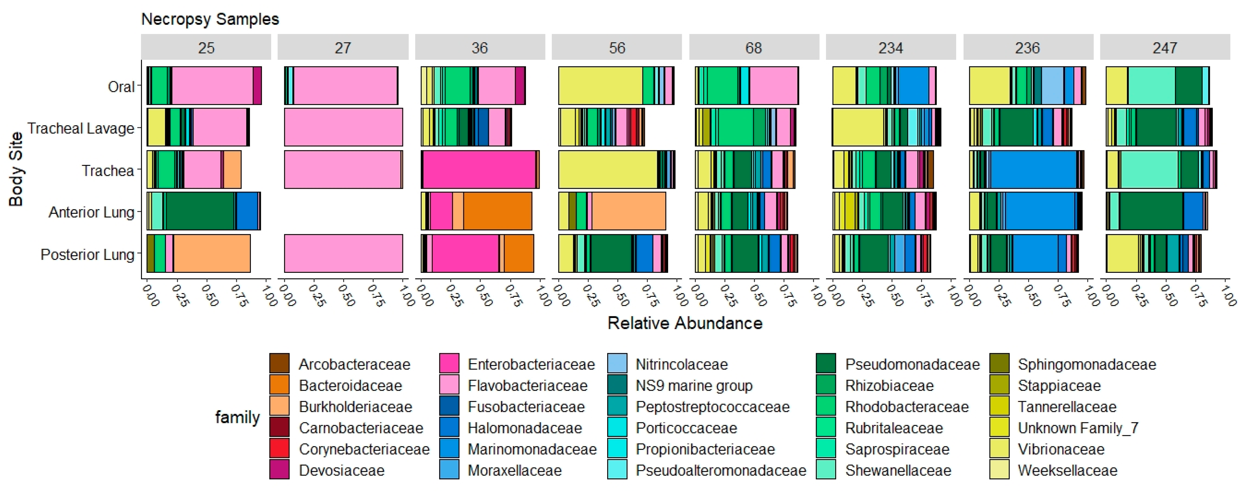 Animals 11 02927 g005