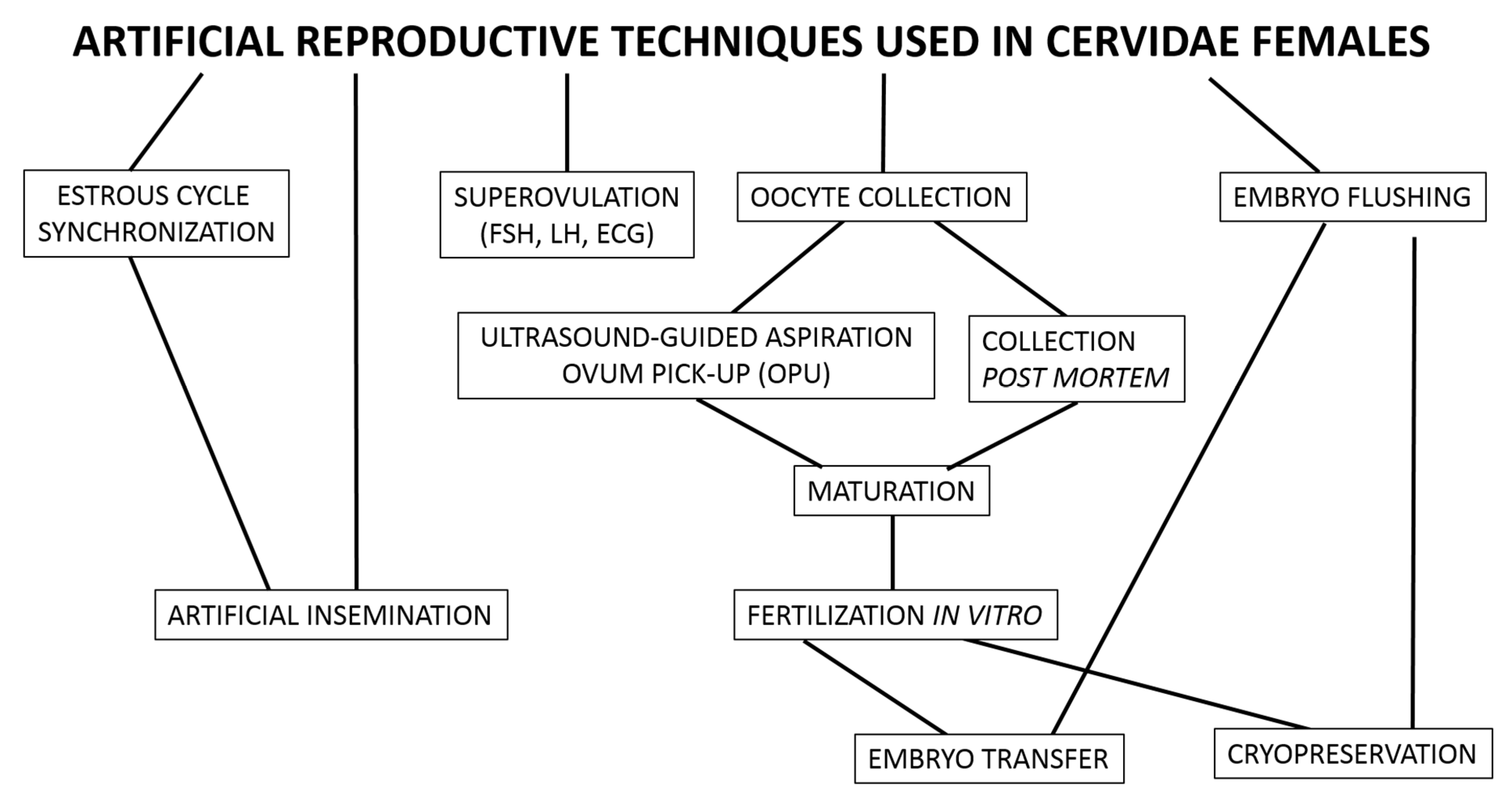 Animals 11 02933 g002 Animals 11 02933 g002