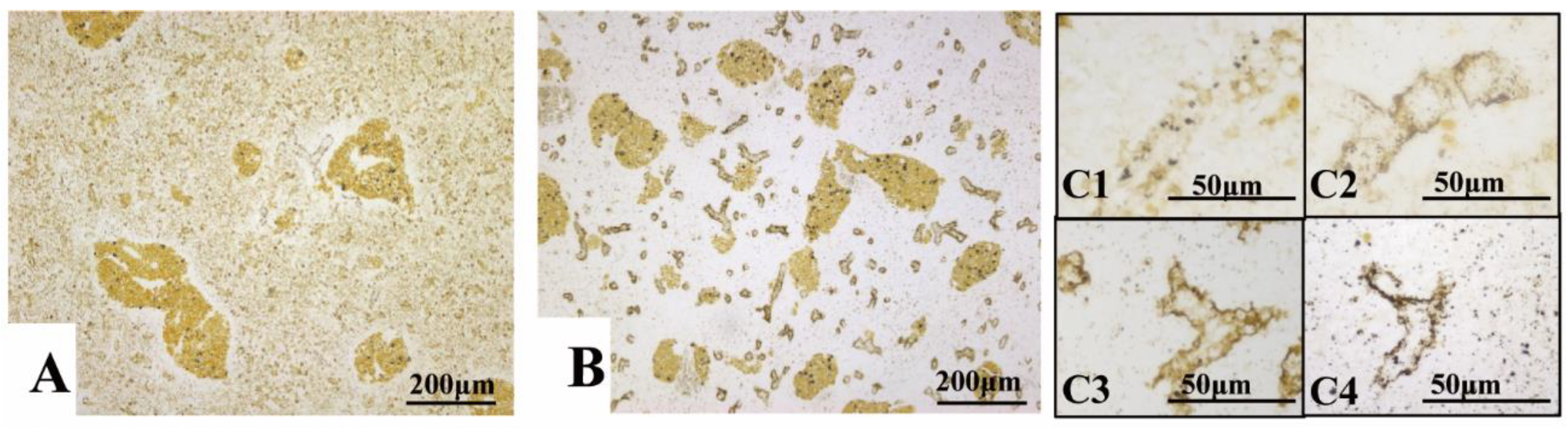 Animals 11 02934 g005a