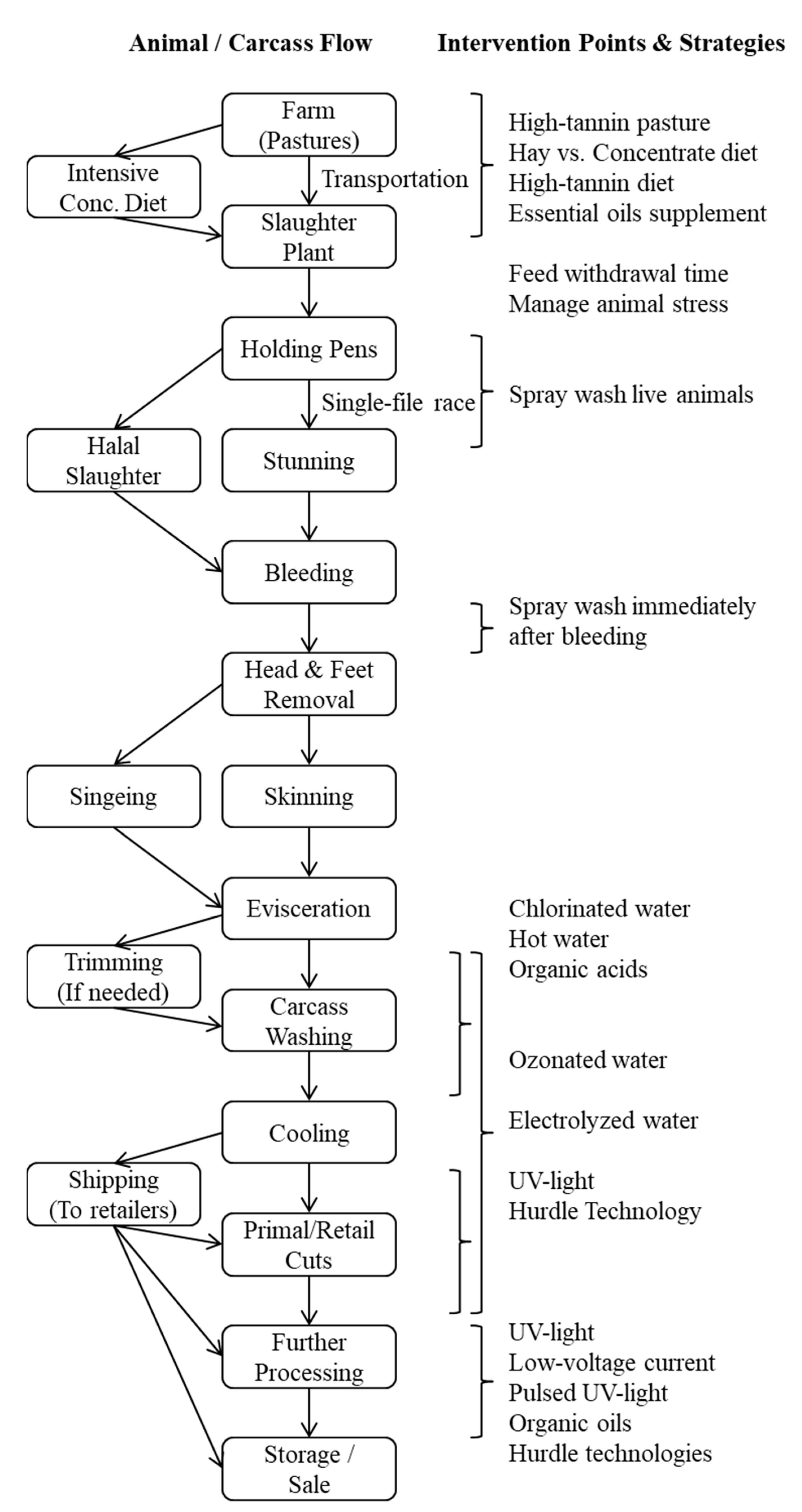 Animals | Free Full-Text | Preharvest Management and Postharvest Intervention Strategies to Reduce Escherichia coli Contamination in Goat Meat: A Review Animals | Free Full-Text | Preharvest Management and Postharvest Intervention Strategies to Reduce Escherichia coli Contamination in Goat Meat: A Review