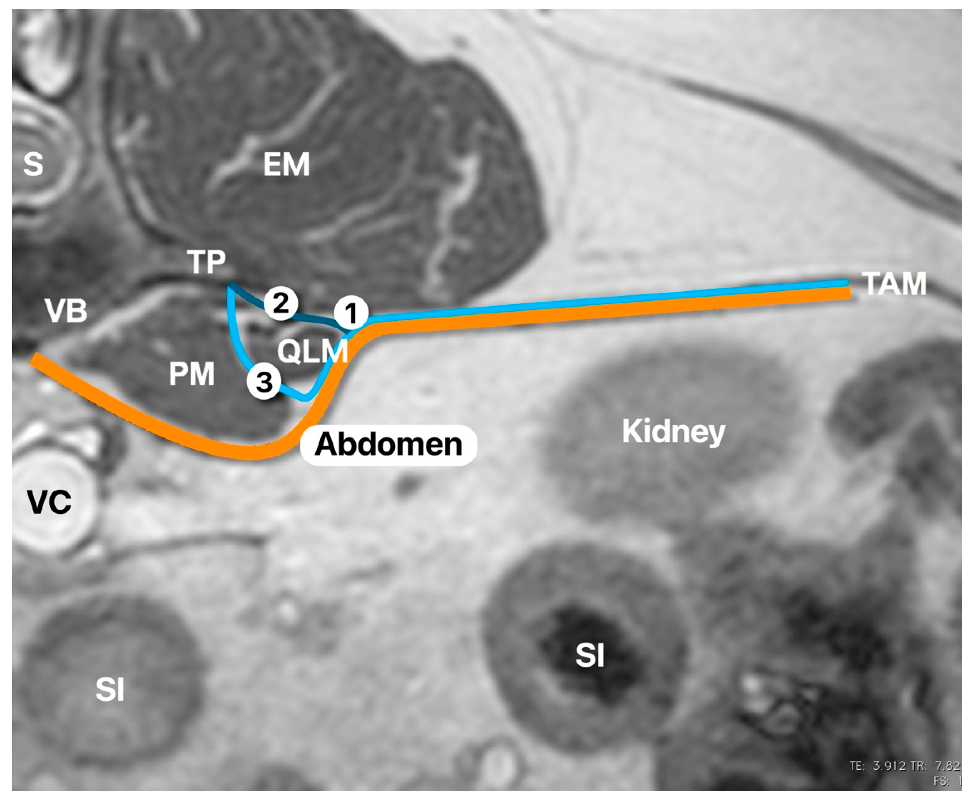 Animals 11 02945 g001 550