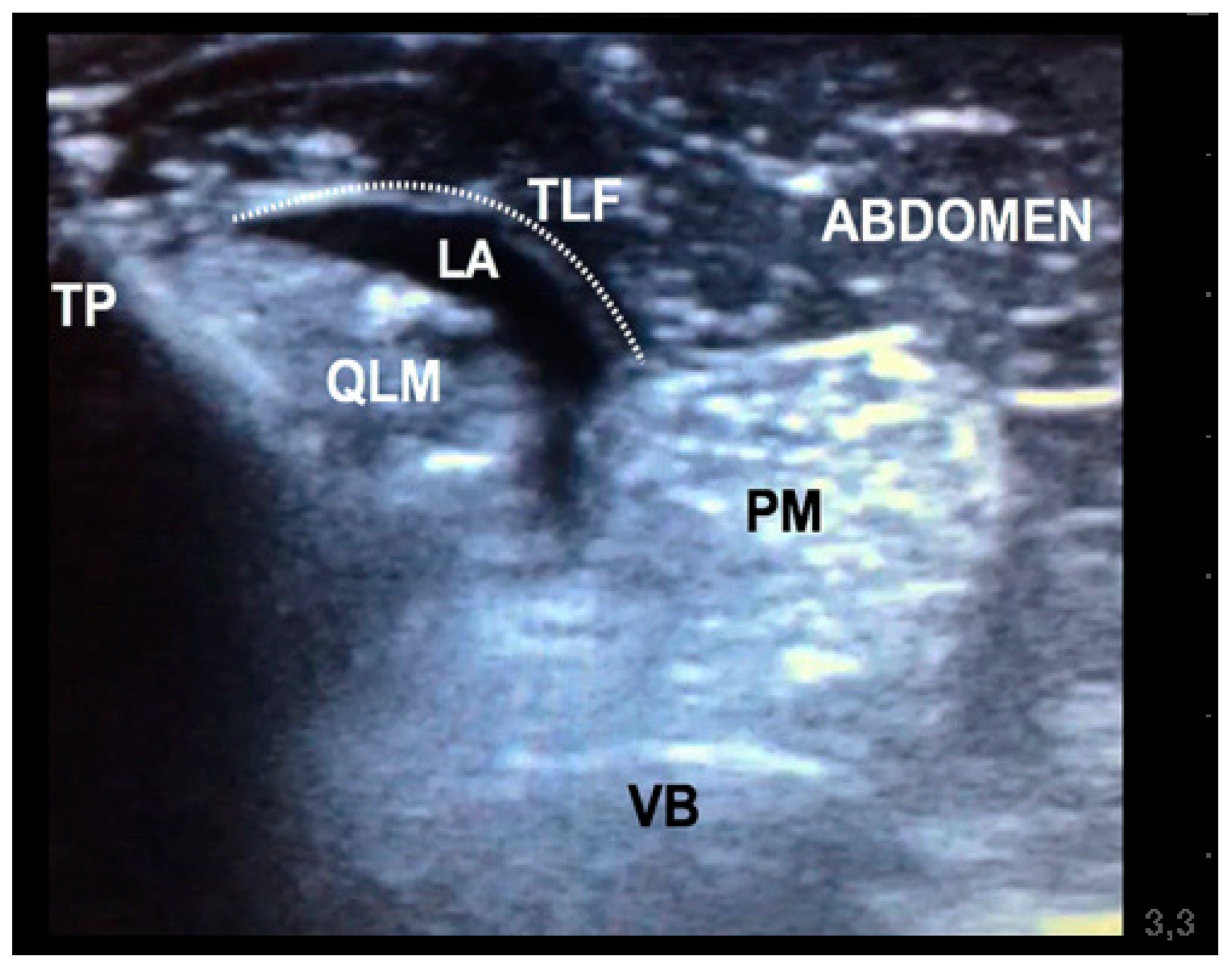 Animals 11 02945 g003 550