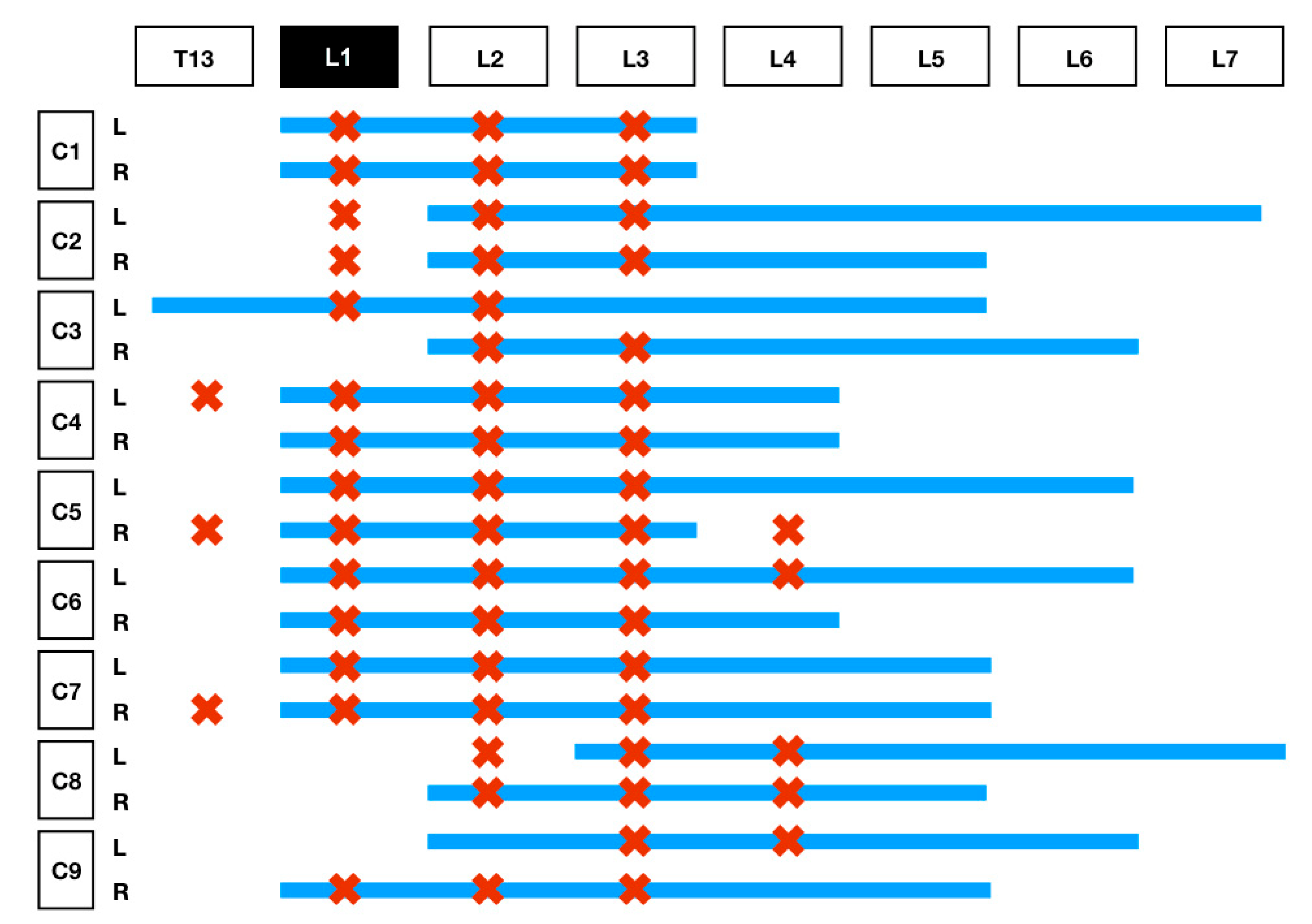 Animals 11 02945 g004 550