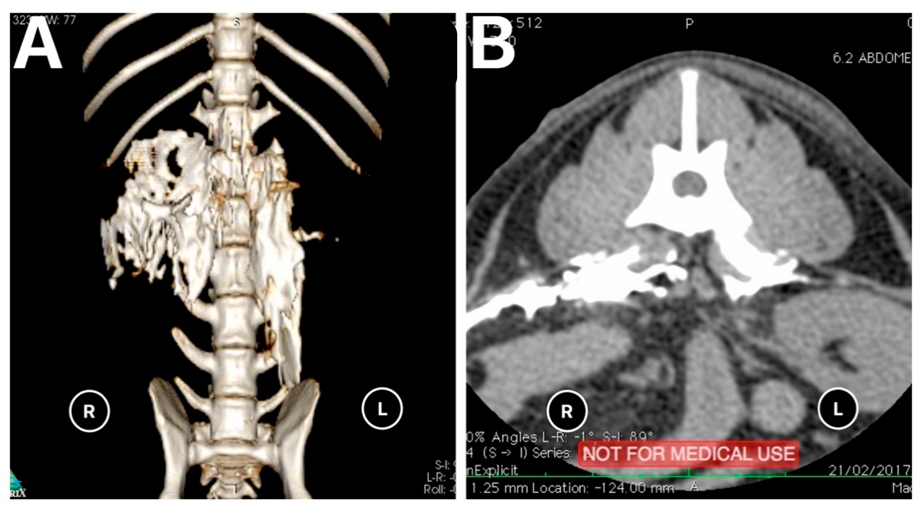 Animals 11 02945 g005 550