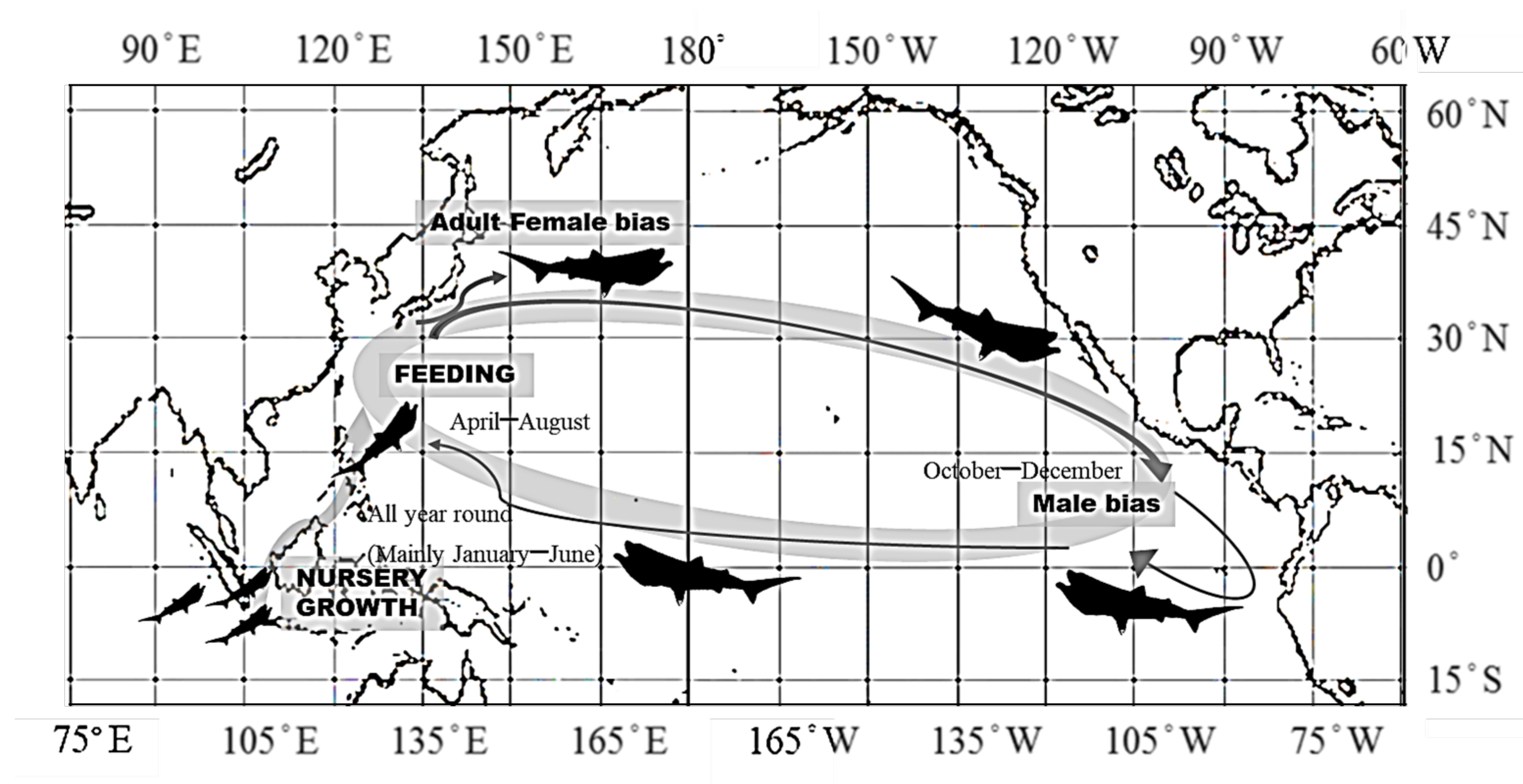 Animals 11 02947 g008 Animals 11 02947 g008