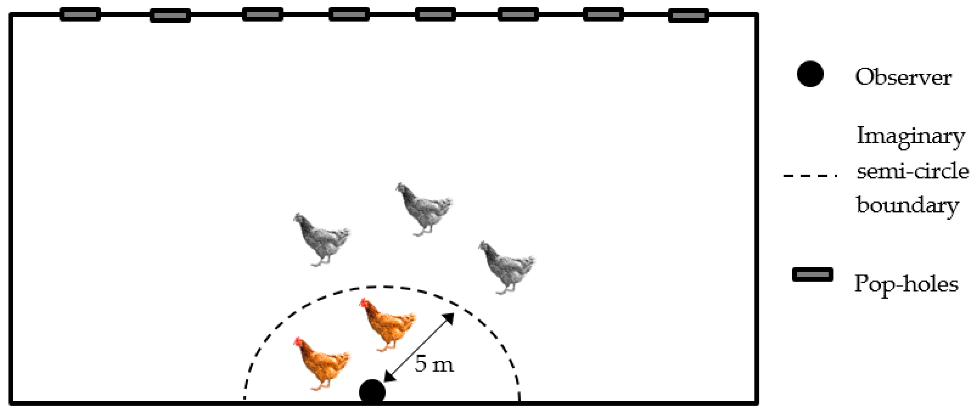 Animals 11 02967 g001 550