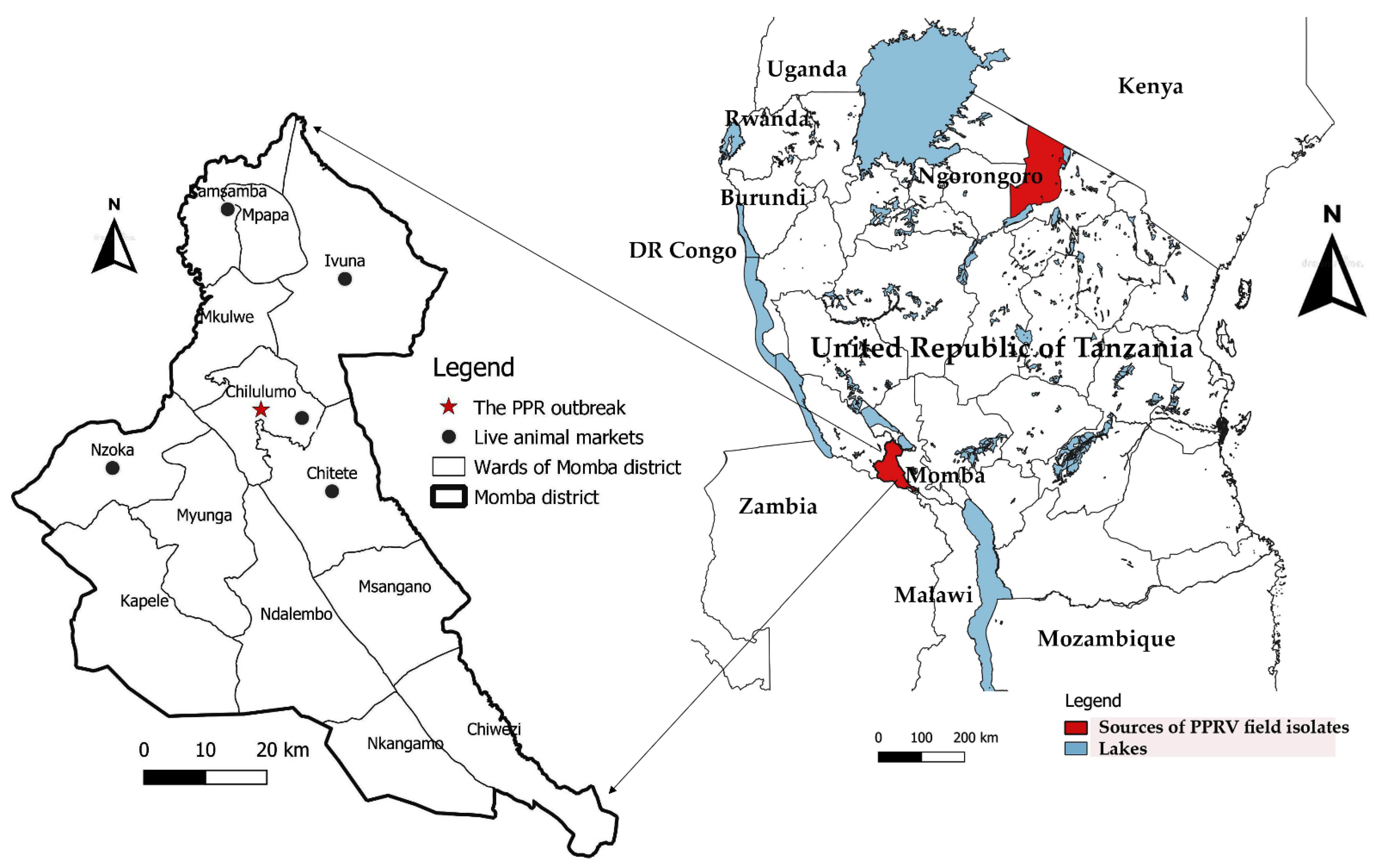 Animals 11 02976 g001