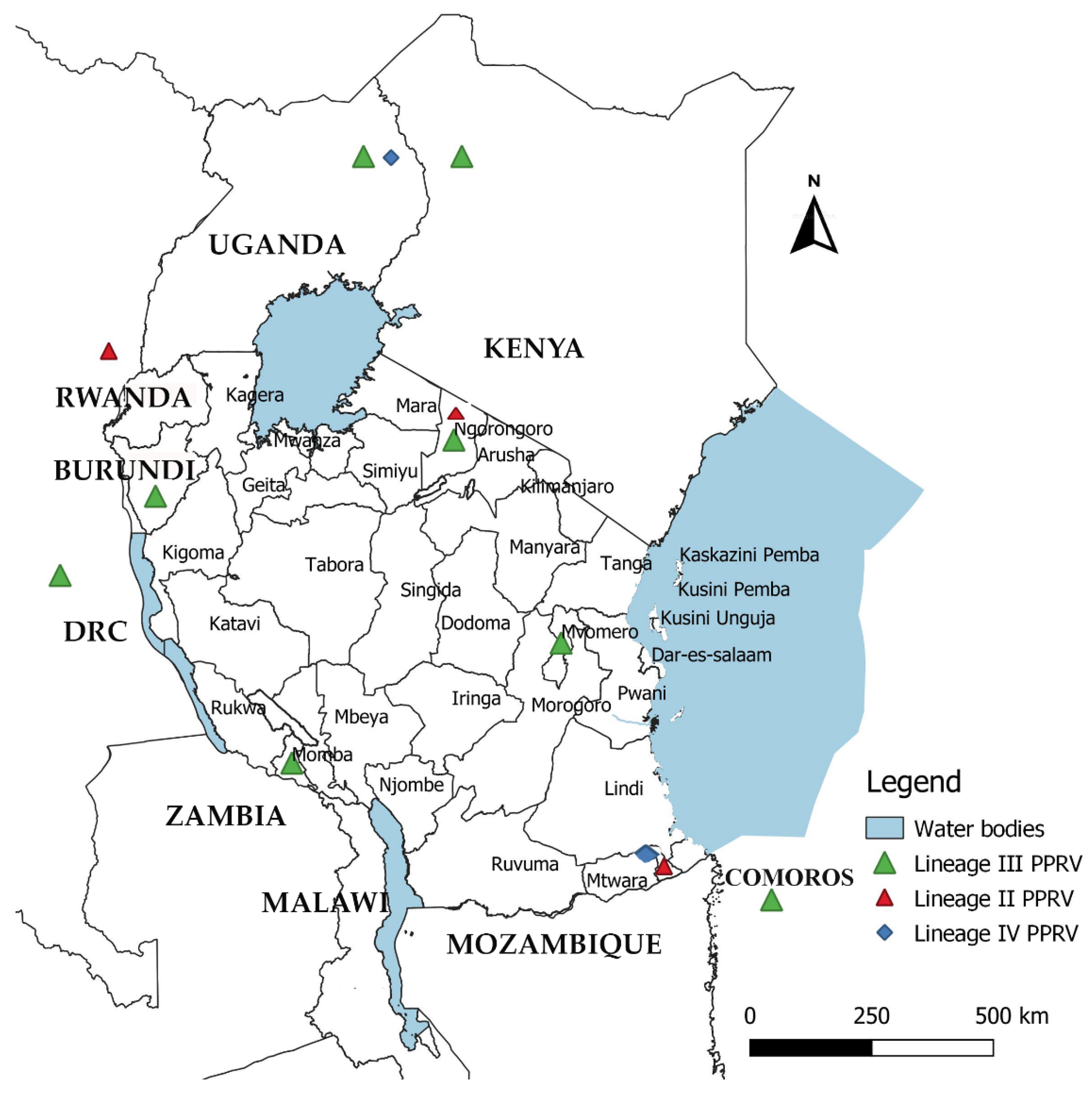 Animals 11 02976 g009