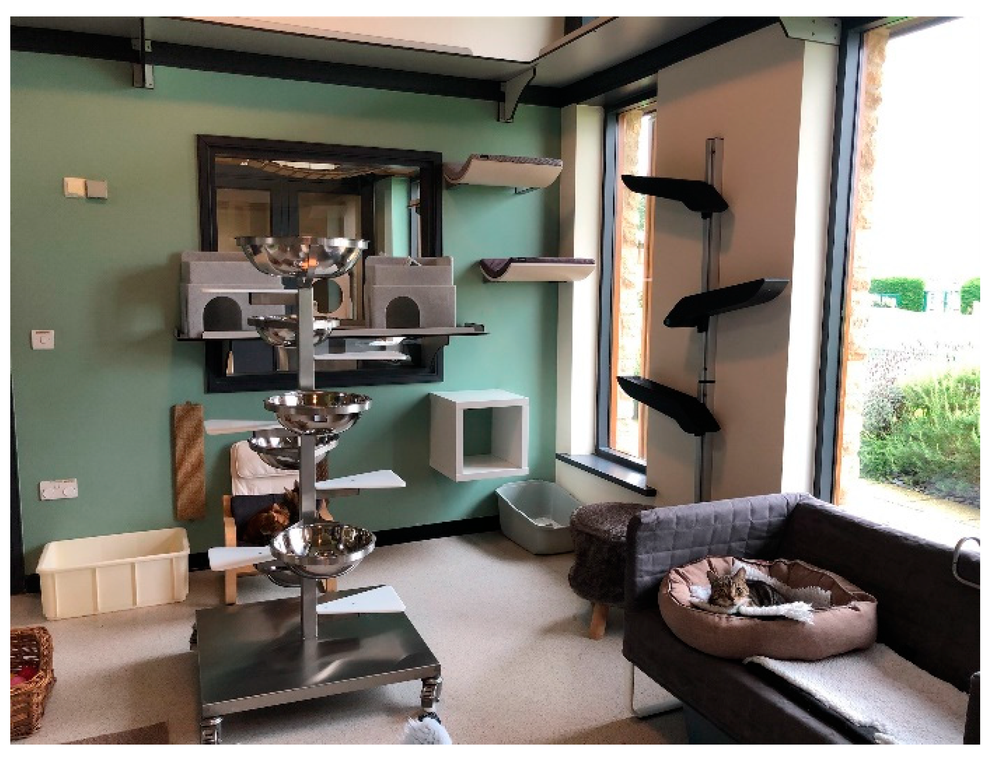 Animals 11 02980 g004 550