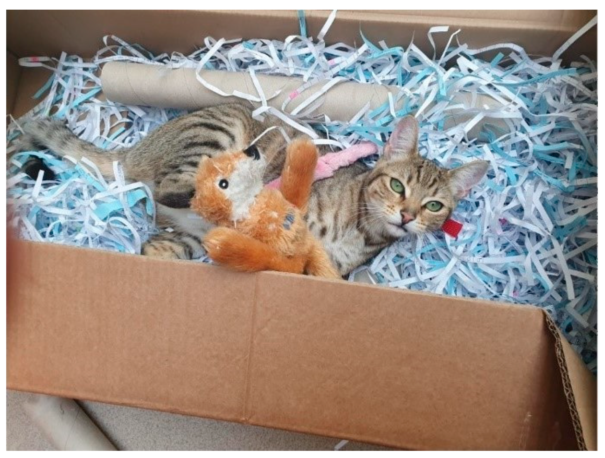 Animals 11 02980 g006 550