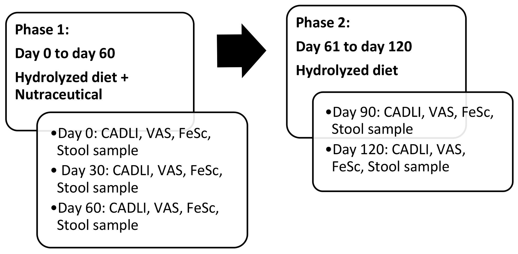 Animals 11 02985 g001