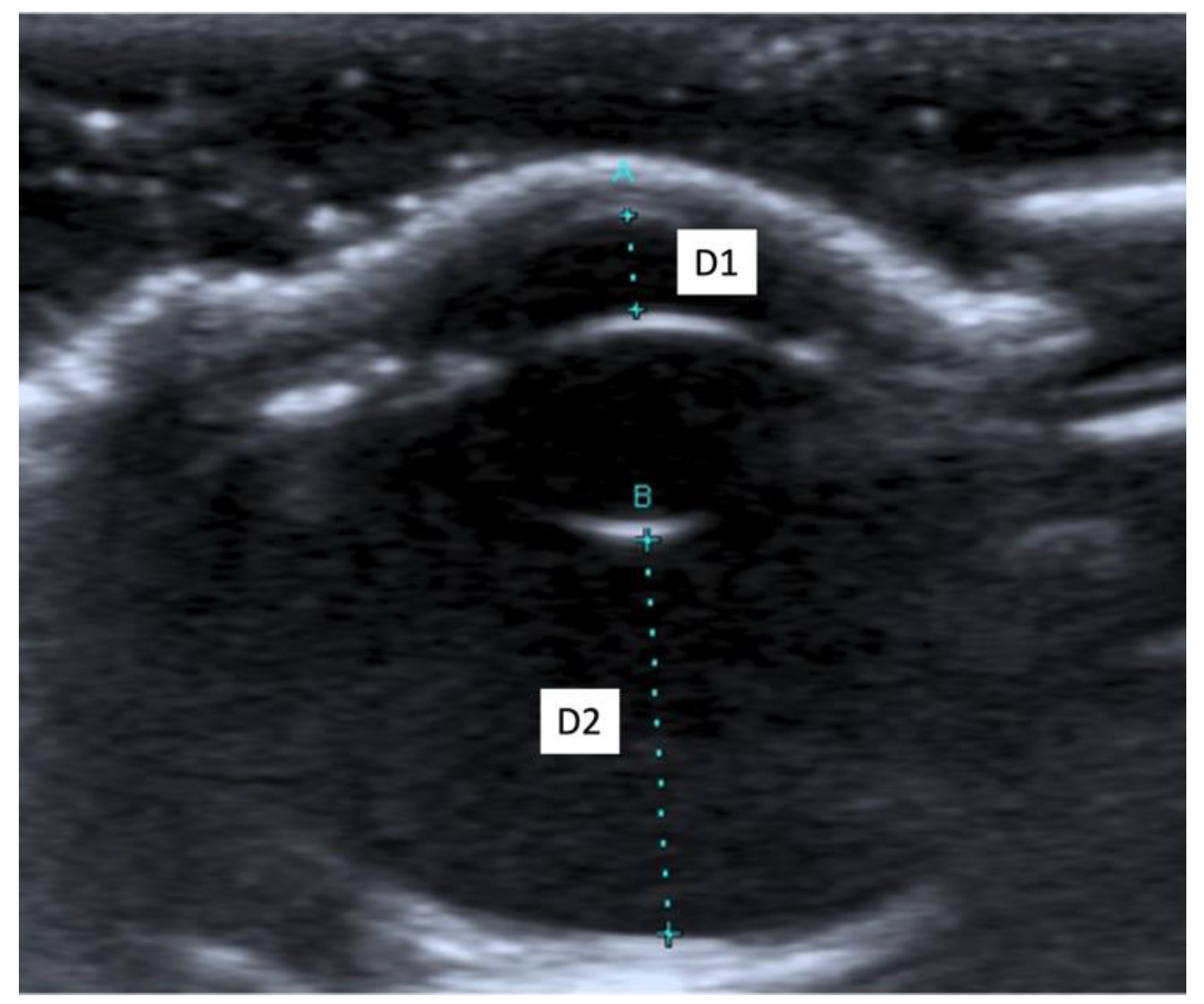 Animals 11 02987 g001 Animals 11 02987 g001