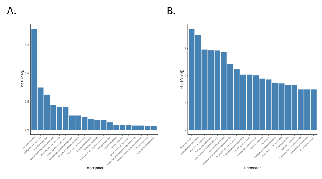Animals 11 02994 g005a