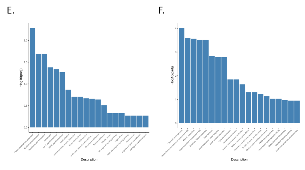 Animals 11 02994 g005c