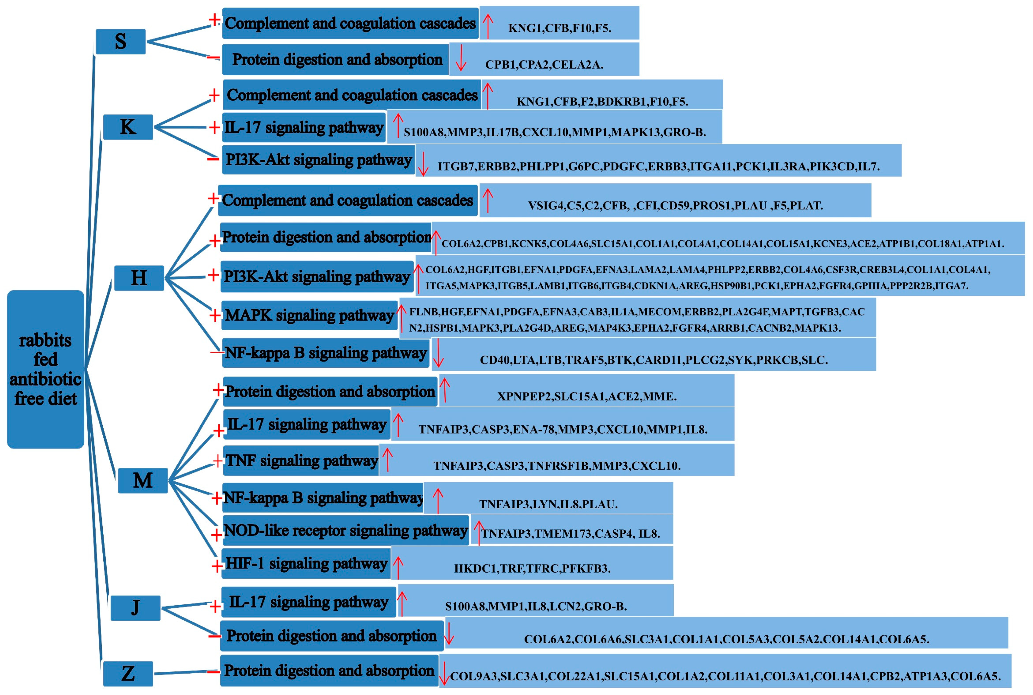 Animals 11 02994 g006