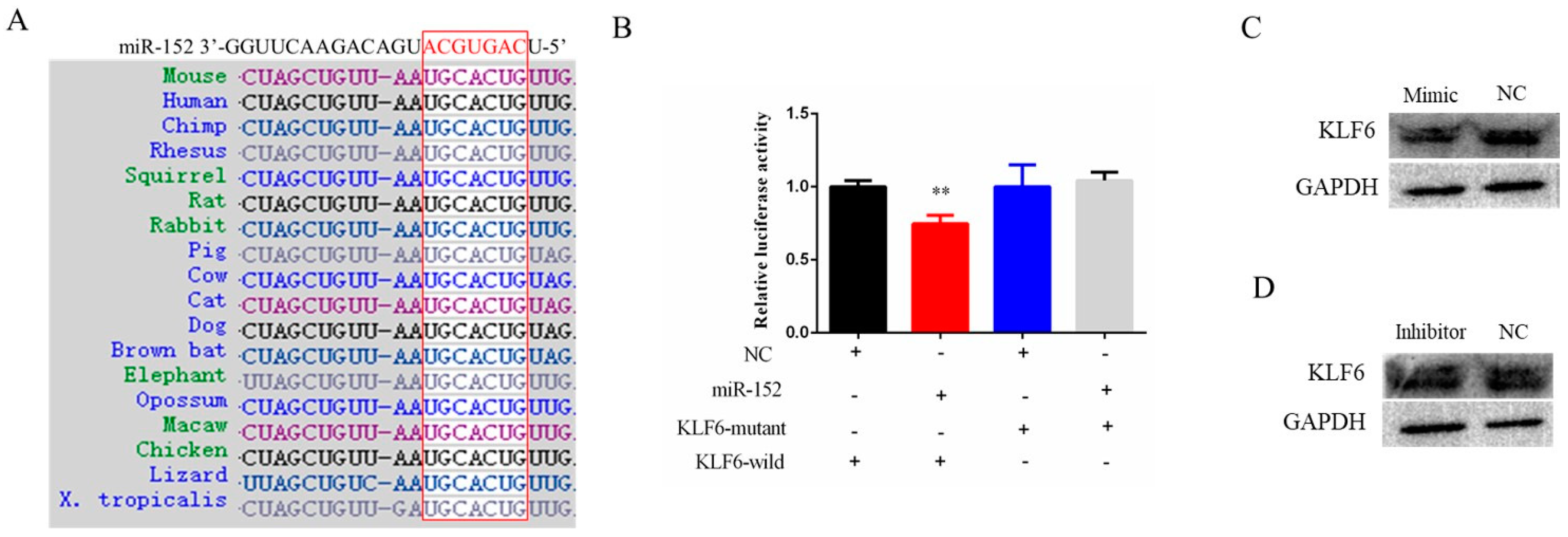 Animals 11 03001 g004