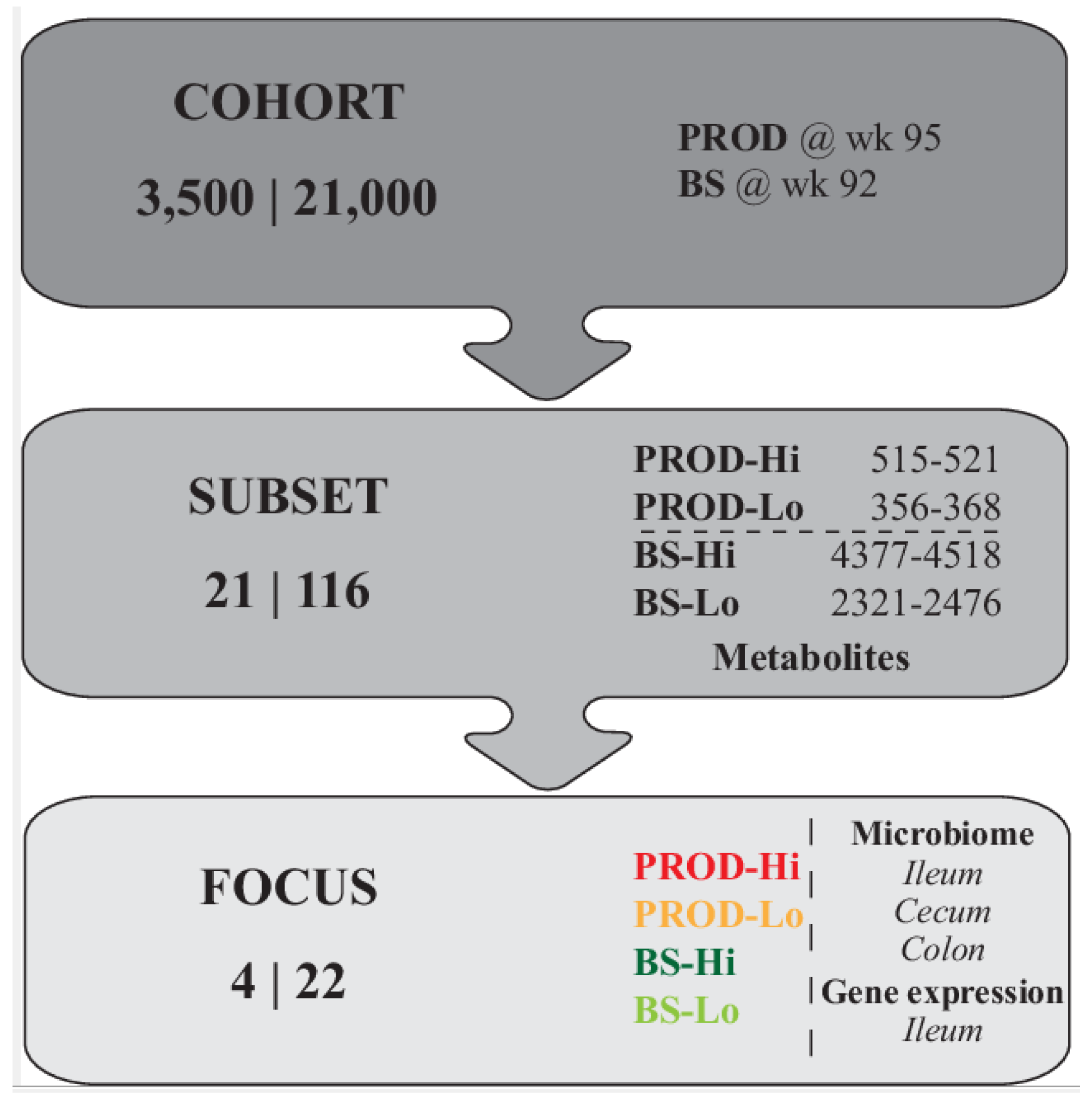 Animals 11 03012 g001 550