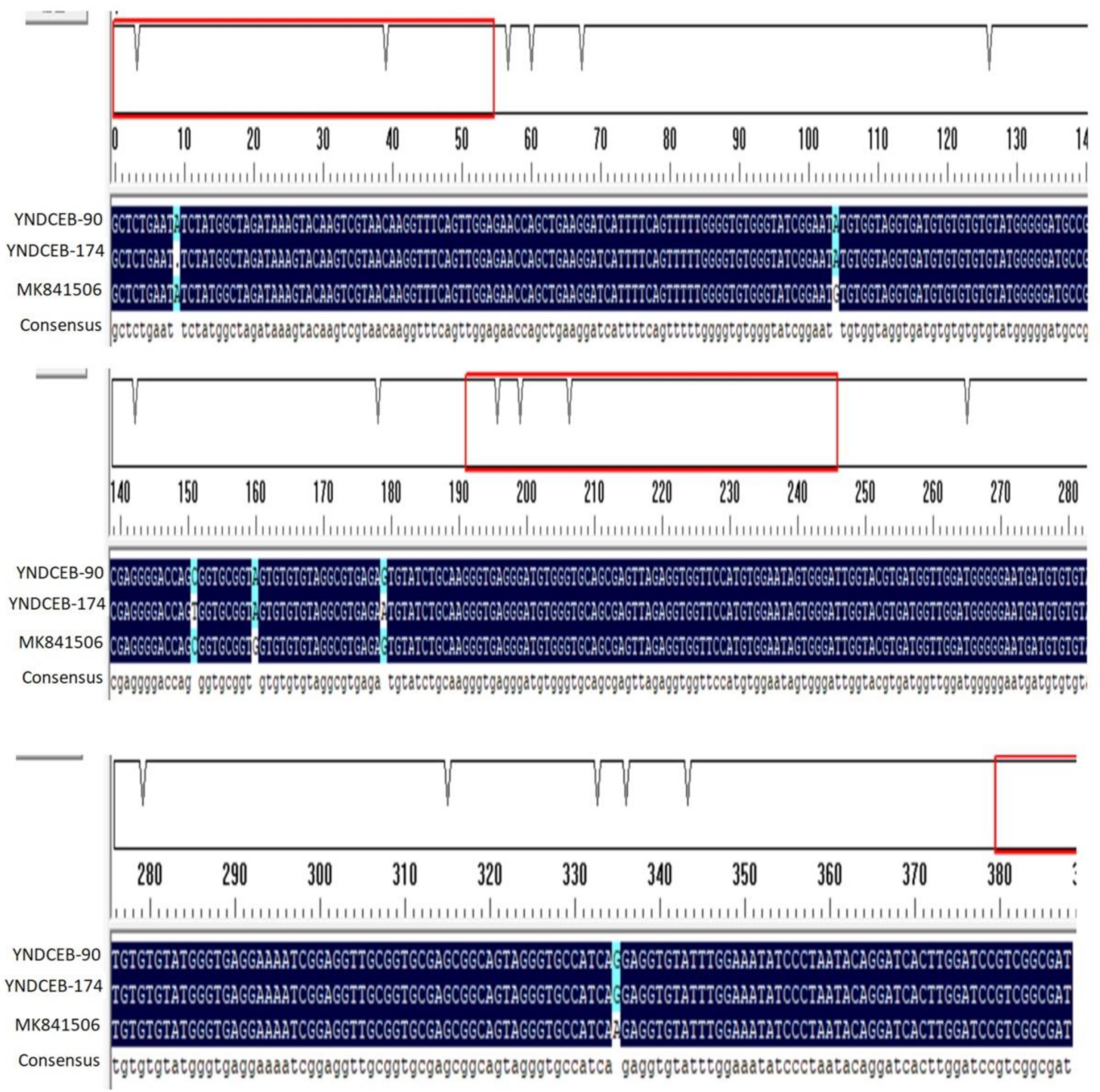 Animals 11 03014 g001
