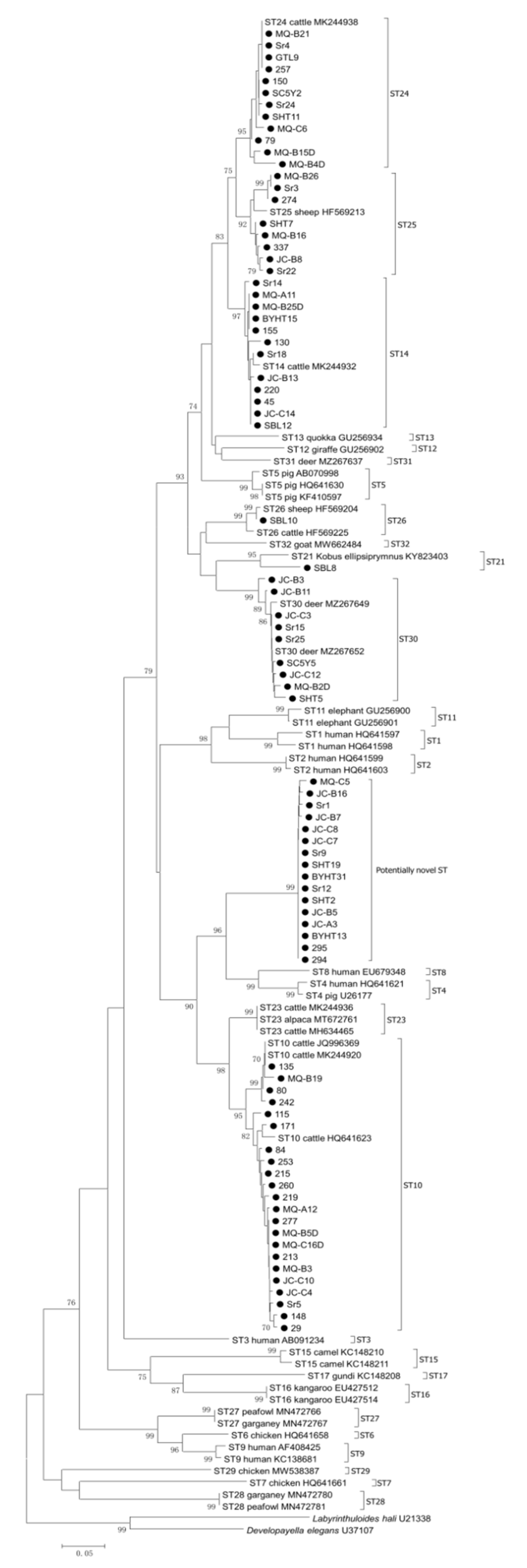 Animals 11 03016 g002 550