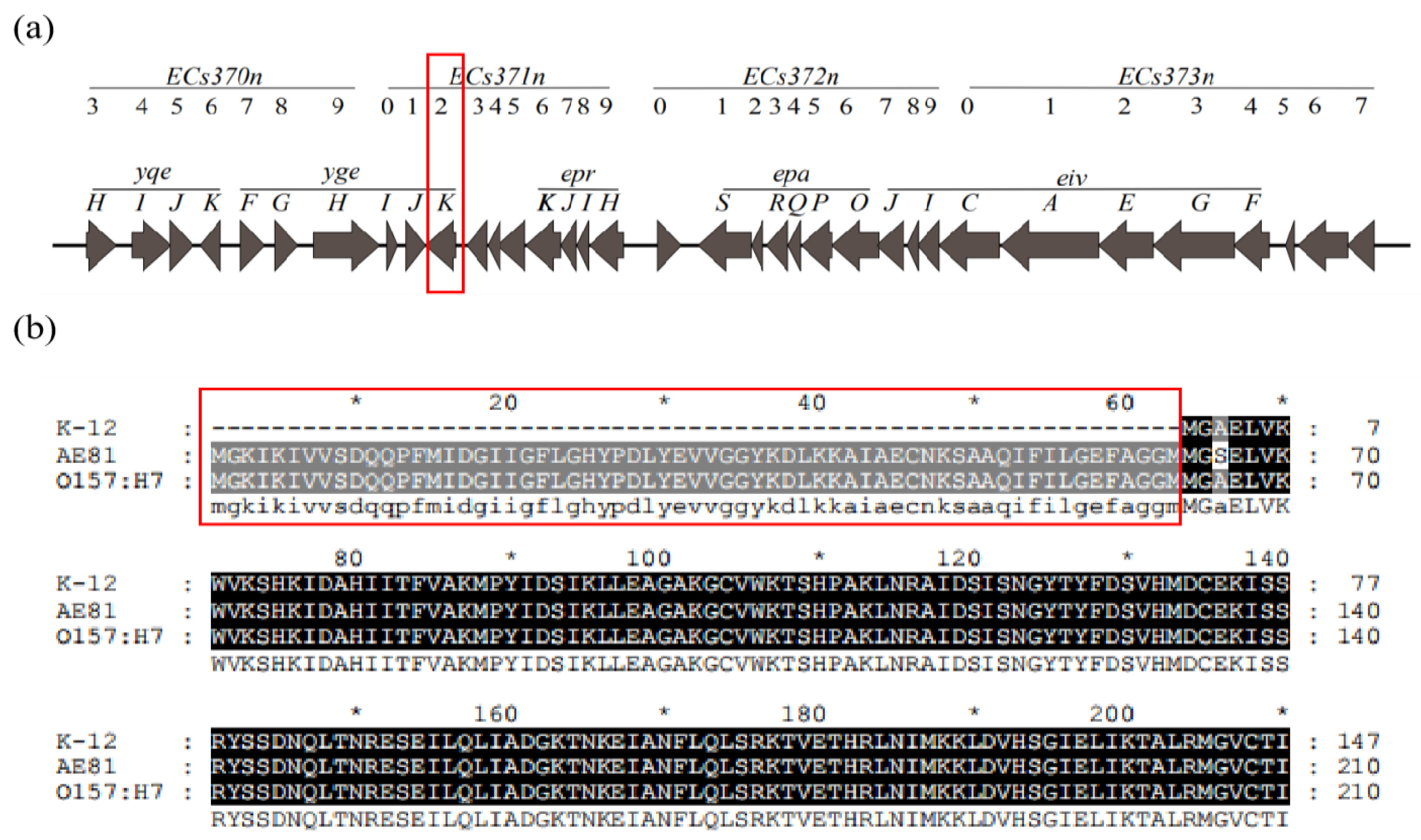 Animals 11 03018 g001 Animals 11 03018 g001