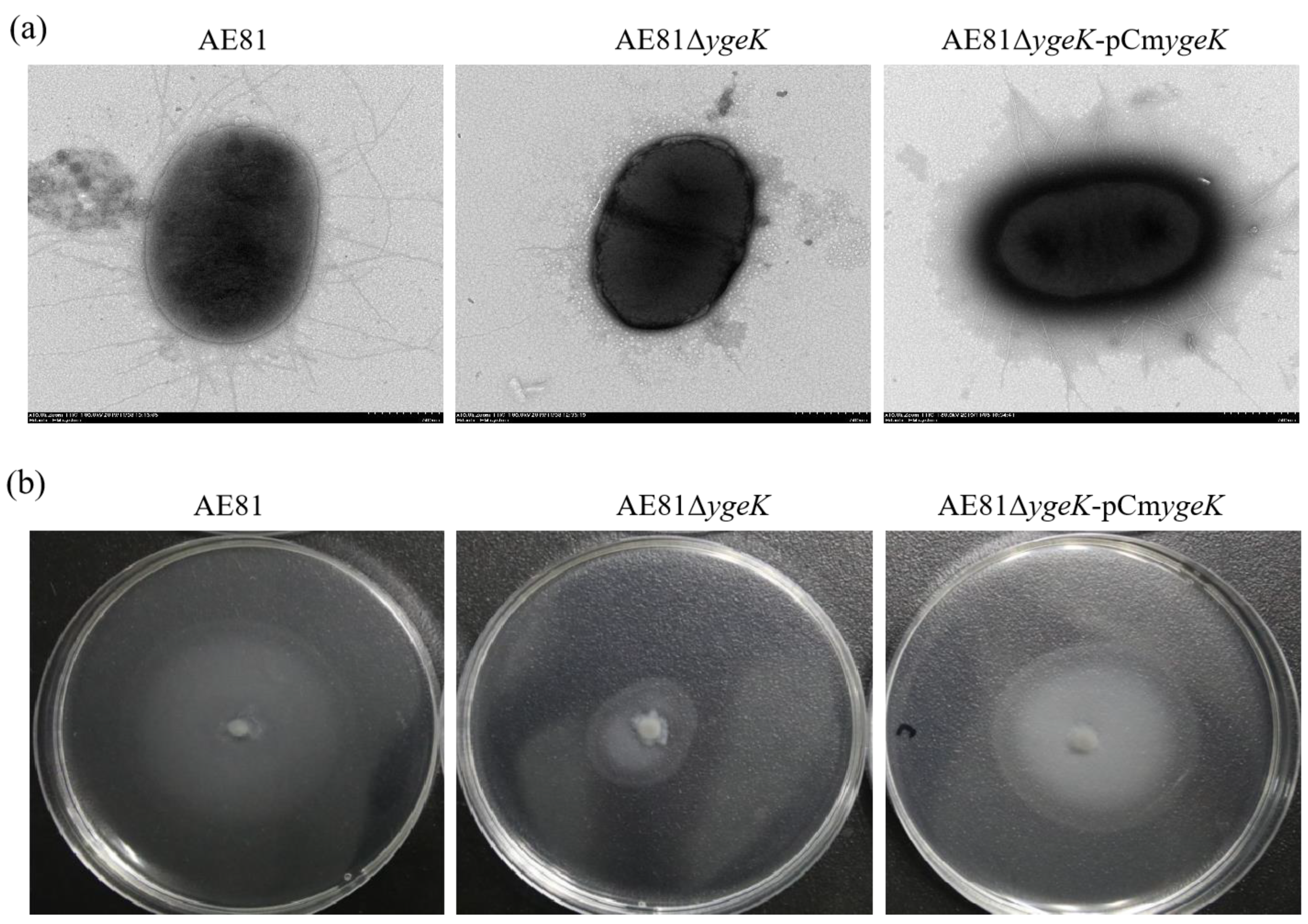 Animals 11 03018 g002 Animals 11 03018 g002