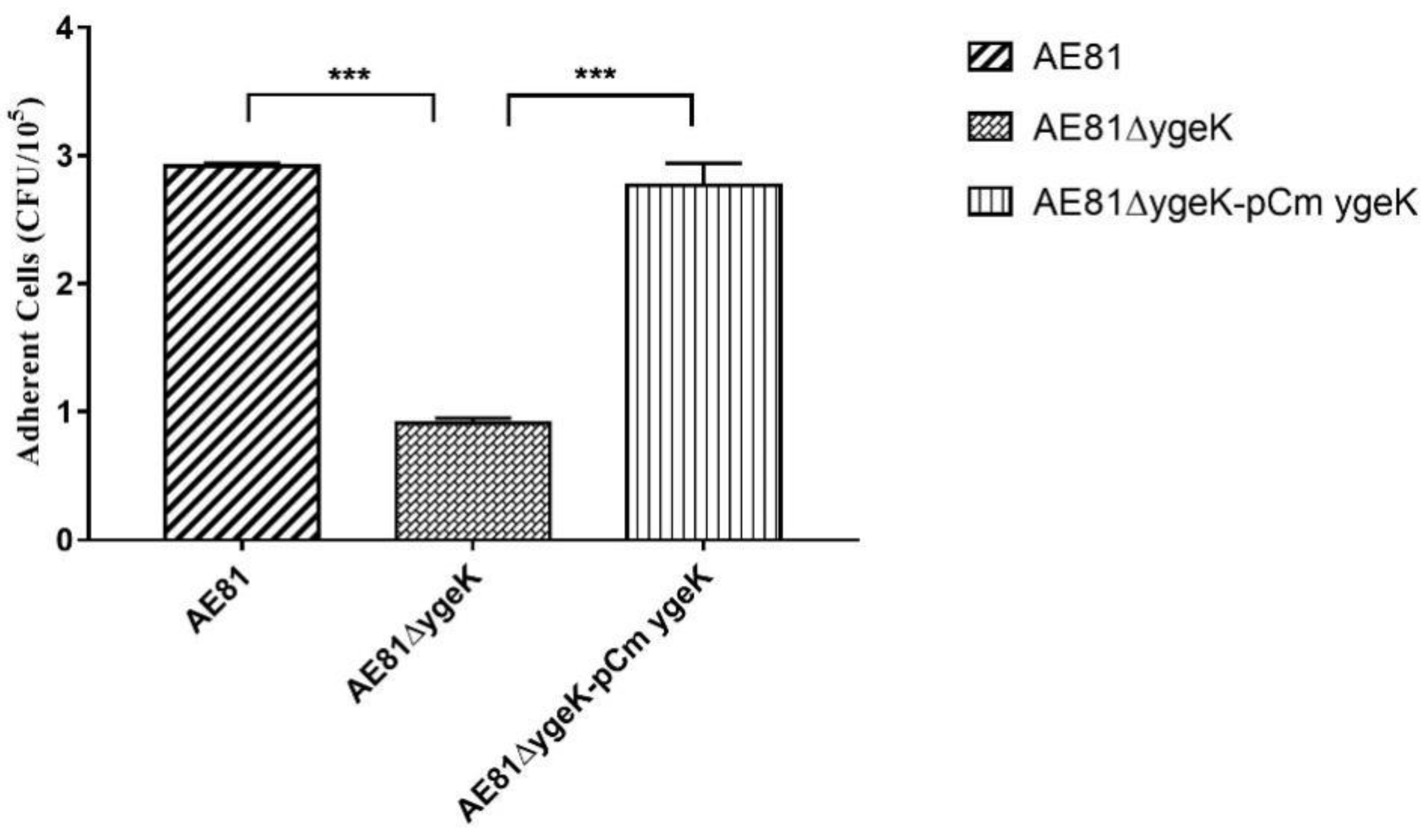 Animals 11 03018 g004 Animals 11 03018 g004