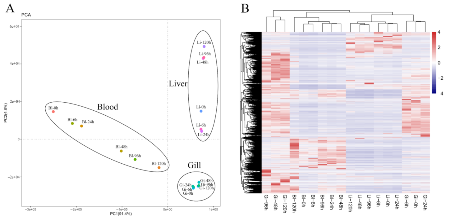 Animals 11 03021 g001