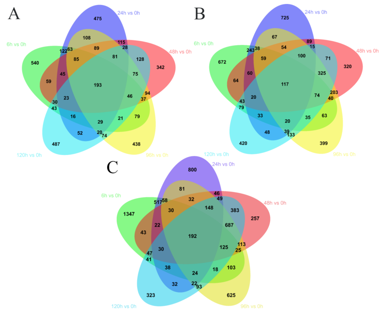 Animals 11 03021 g002