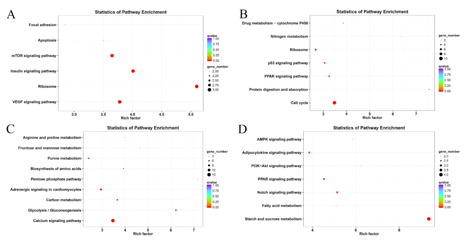 Animals 11 03021 g005