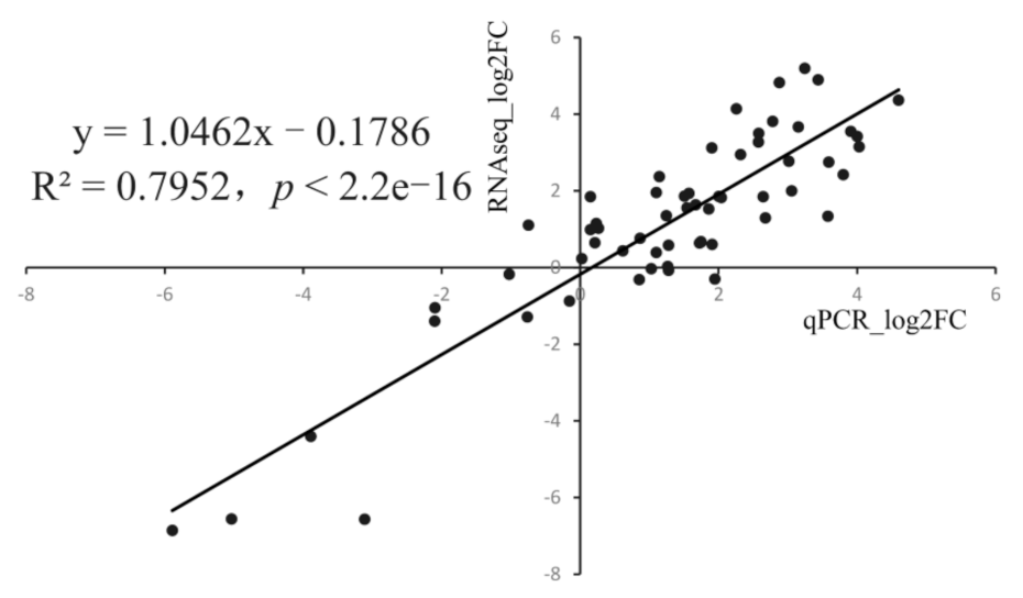 Animals 11 03021 g007