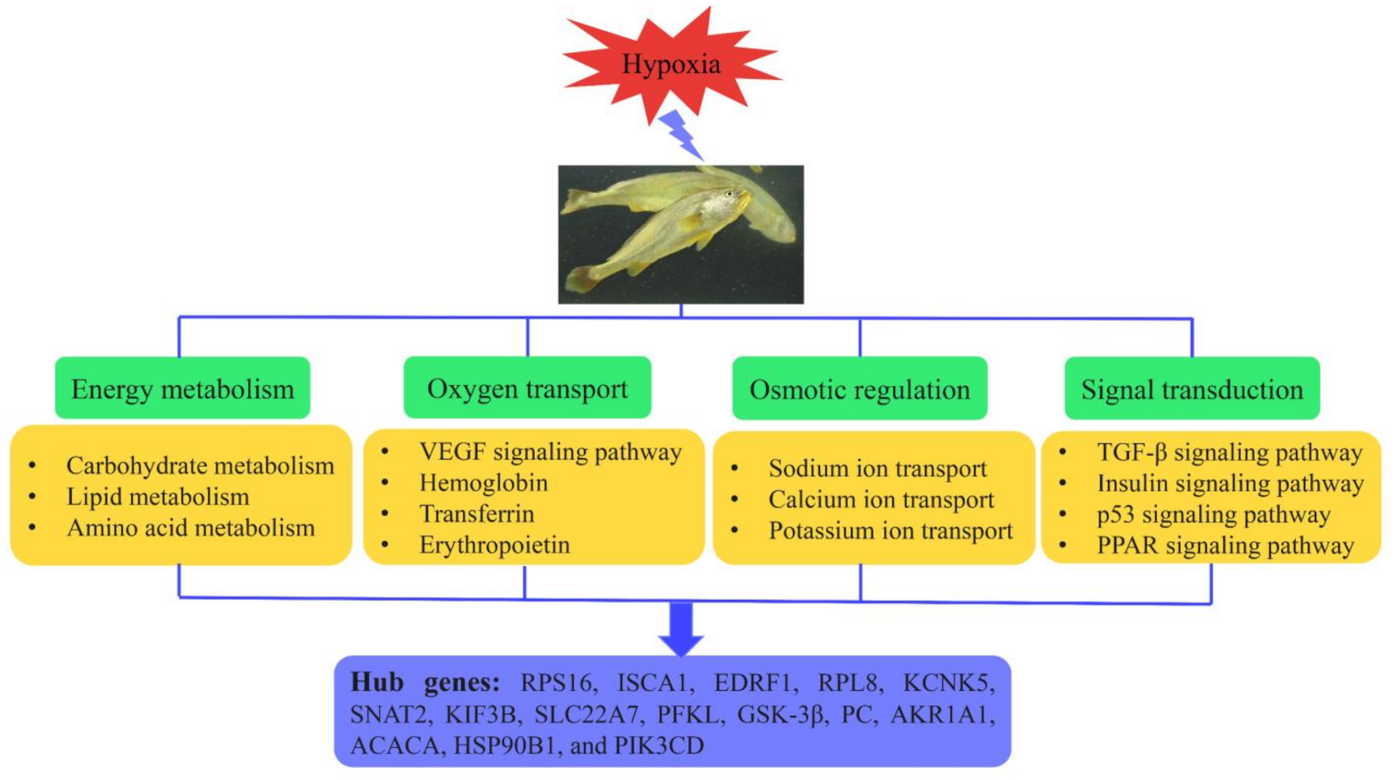 Animals 11 03021 g008