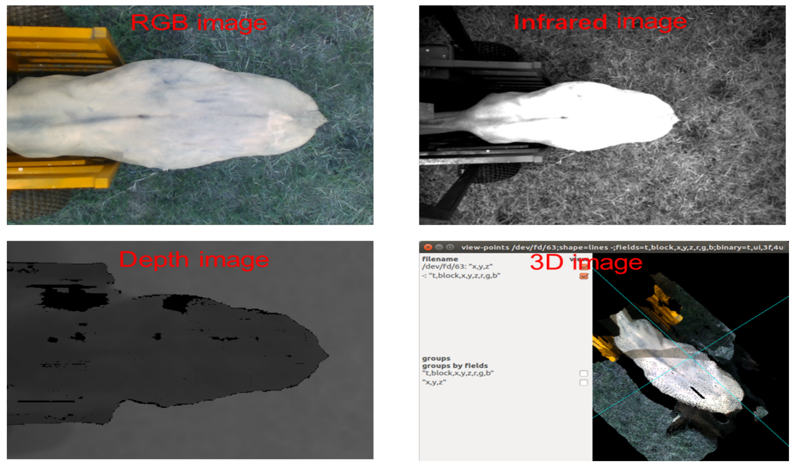 Animals 11 03033 g002