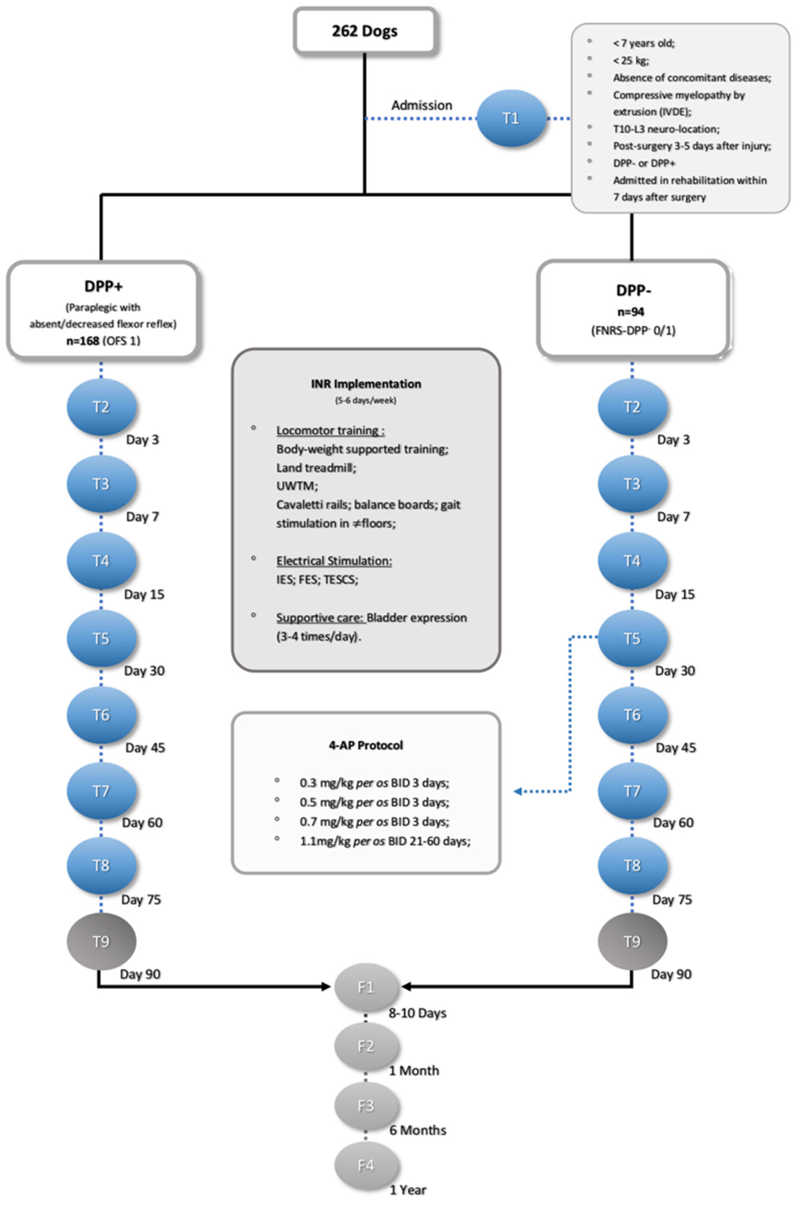 Animals 11 03034 g002