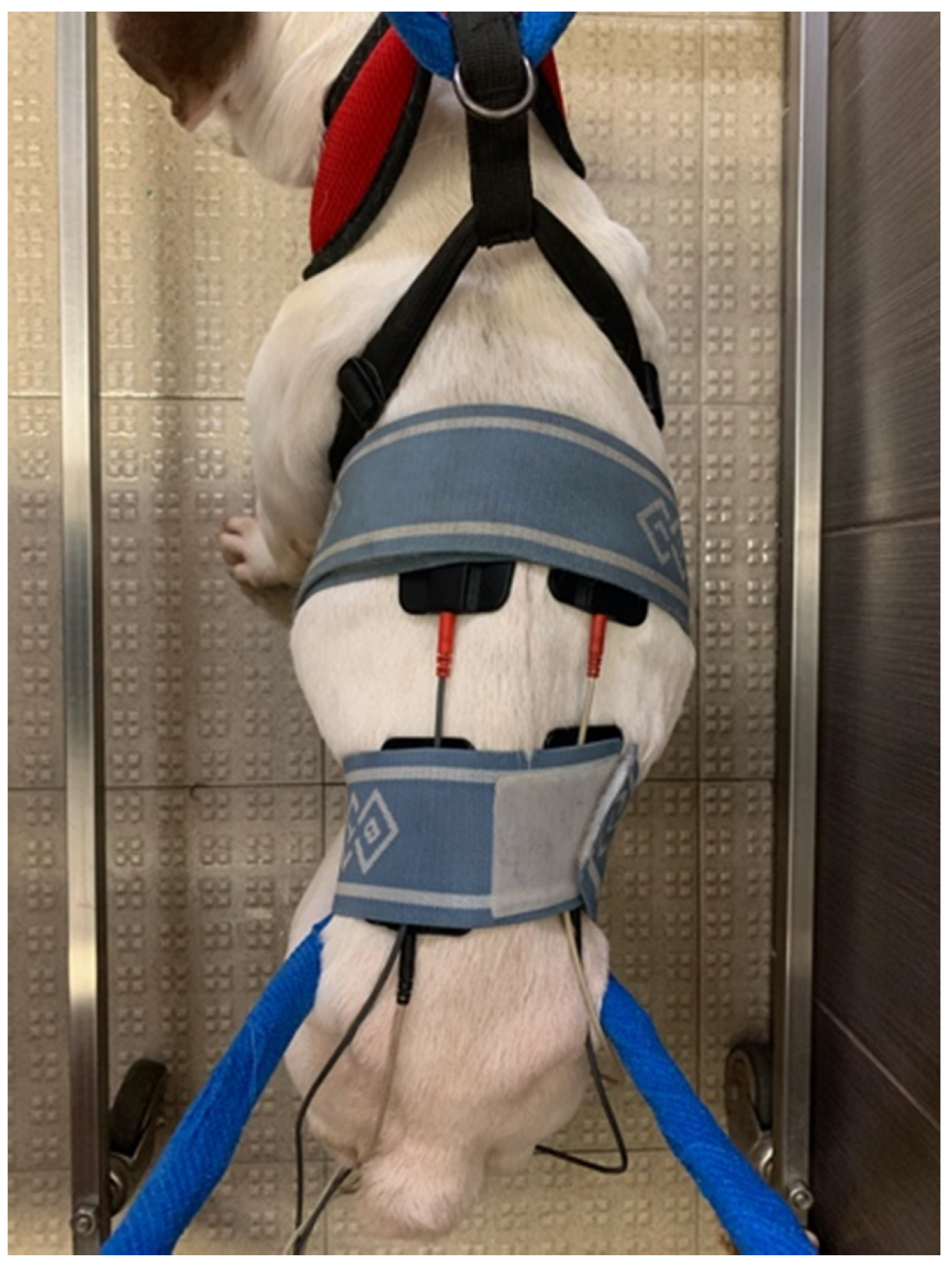 Animals 11 03034 g003