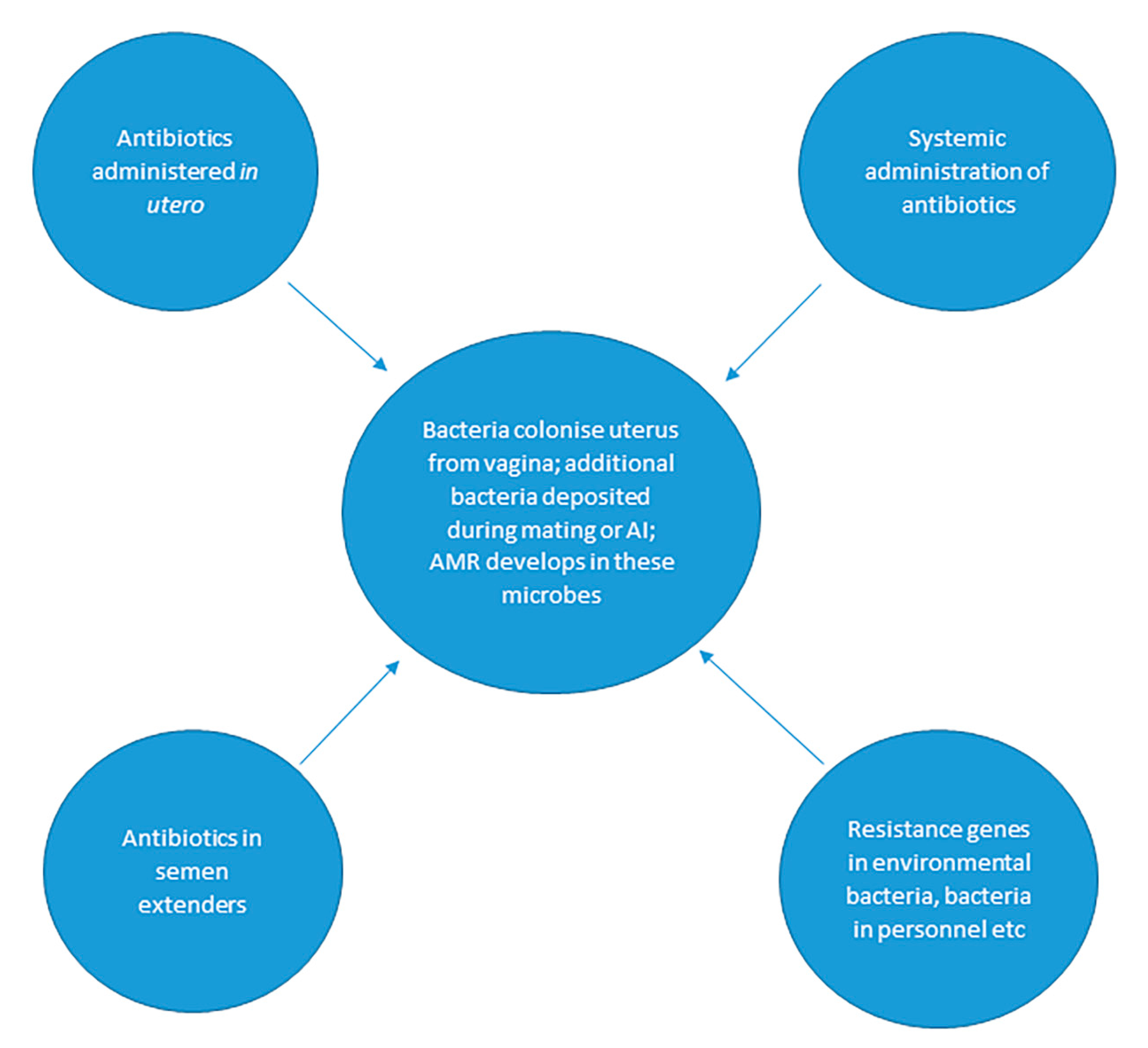 Animals 11 03035 g002