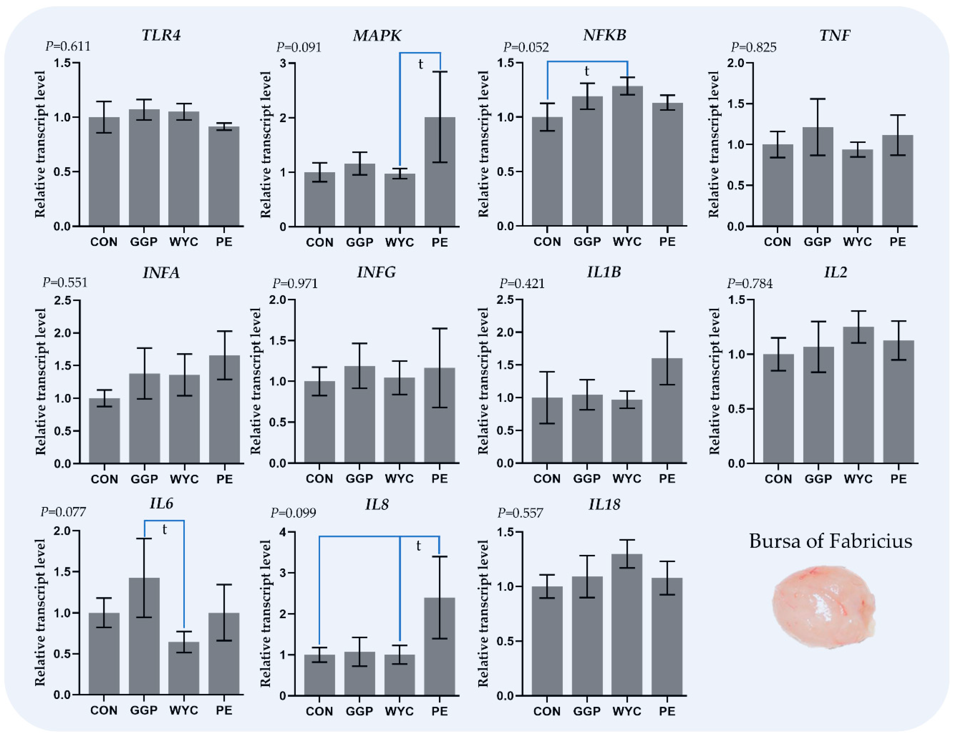 Animals 11 03038 g002